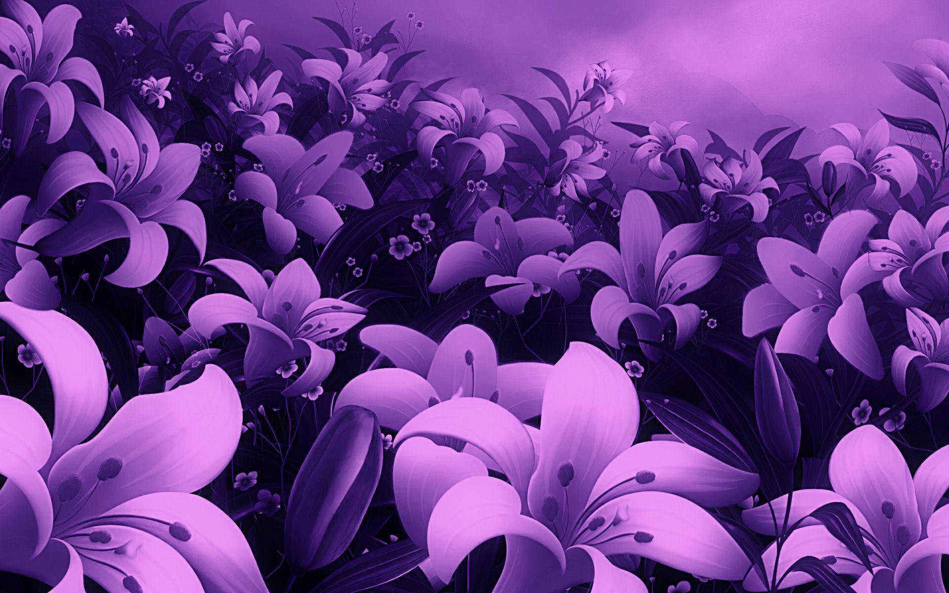 New Flowers Full Screen Hd Photo High Quality Violet Flower