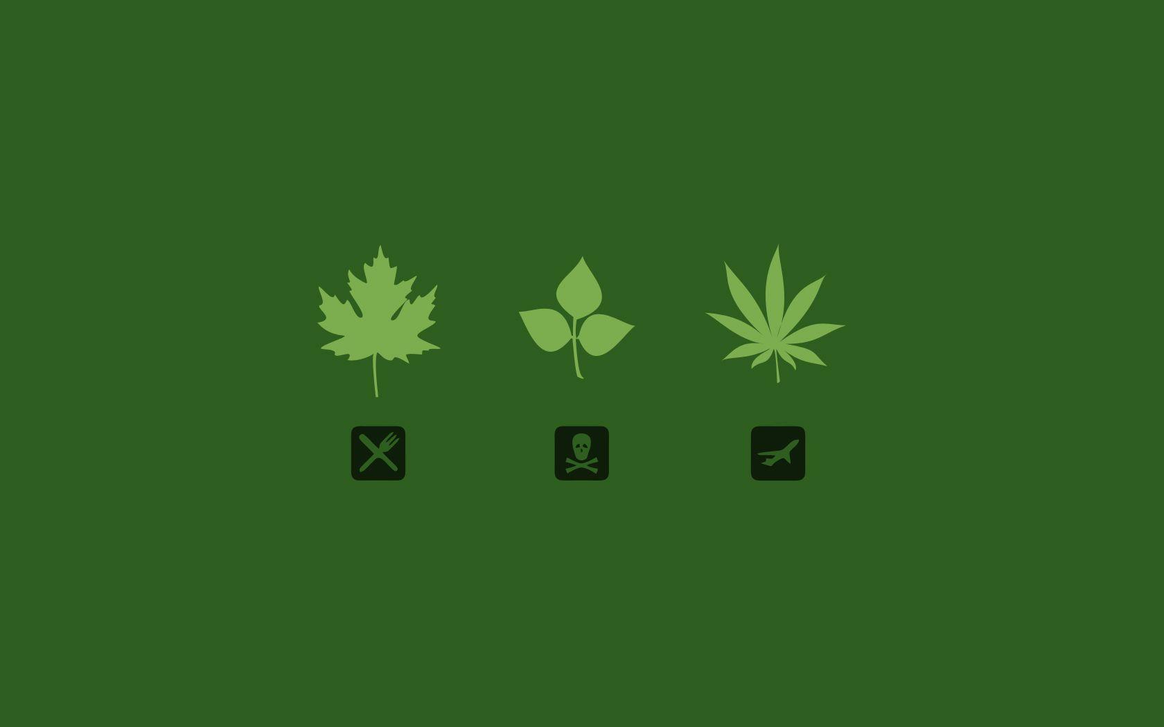 Download Leaves Marijuana Wallpaper 1680x1050