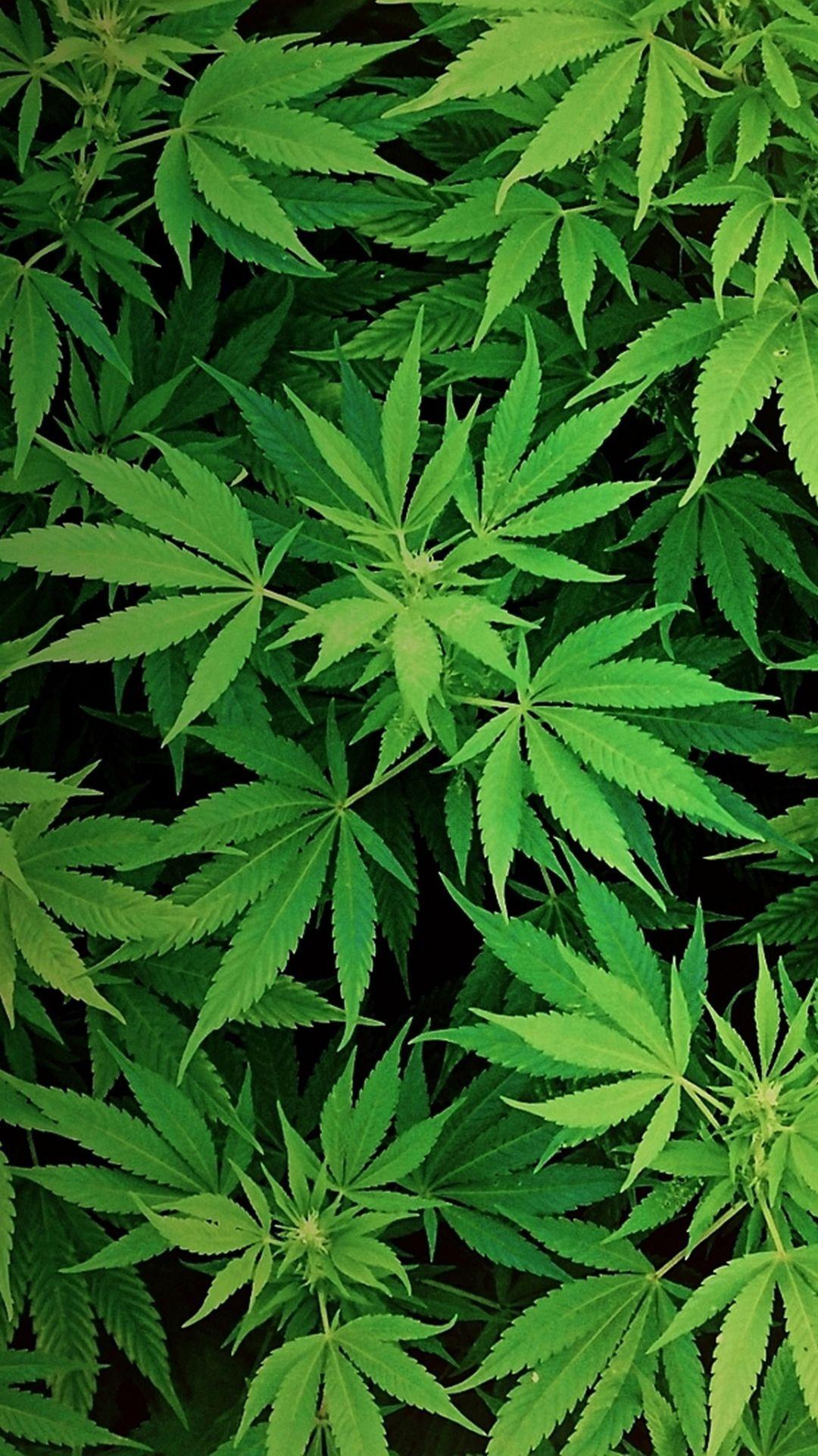 Marijuana phone background. Marijuana Phone Wallpaper