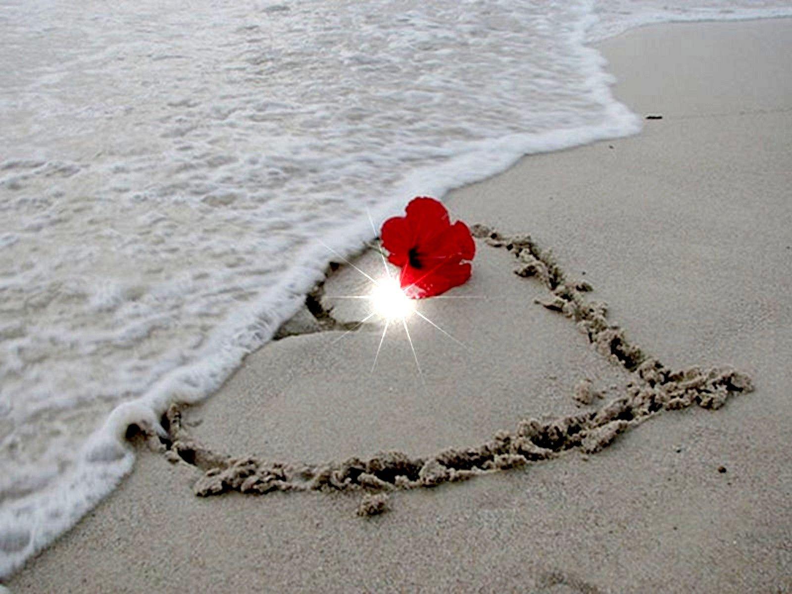 Beach: Heart Sand Friends Nexus Friendship Floral Red Flower Love
