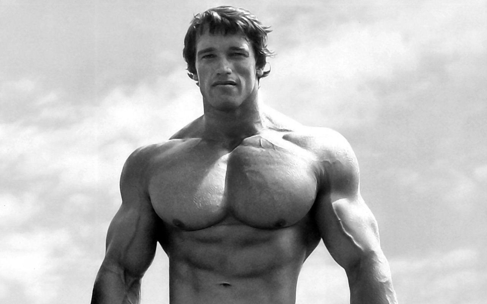 Arnold Schwarzenegger HD Wallpaper