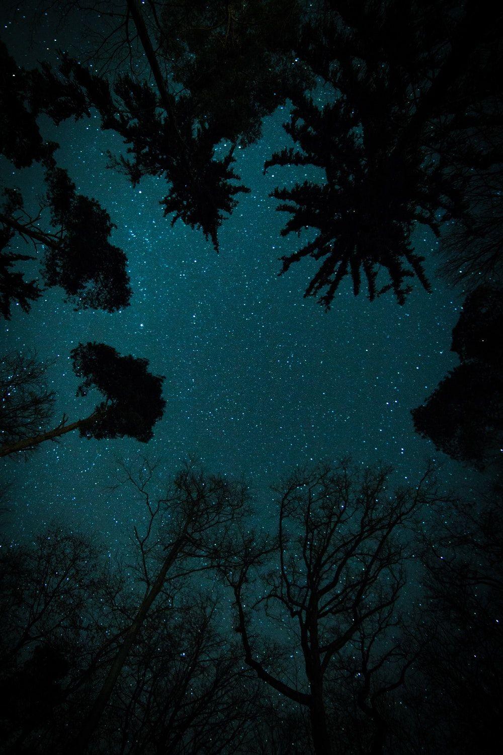 Night Sky Picture. Download Free Image