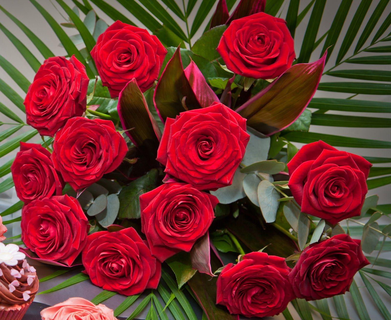 yellow rose free wallpaper: Picture Of Red Roses