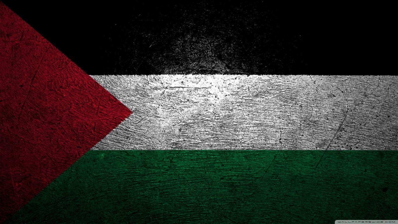 Palestine gambar bendera Bingkai Foto