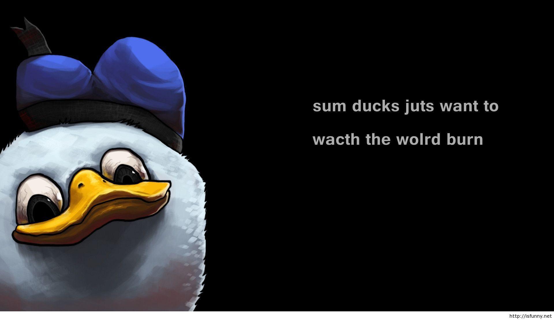 Free Funny Cartoon Wallpaper Wallpaper. HD Wallpaper