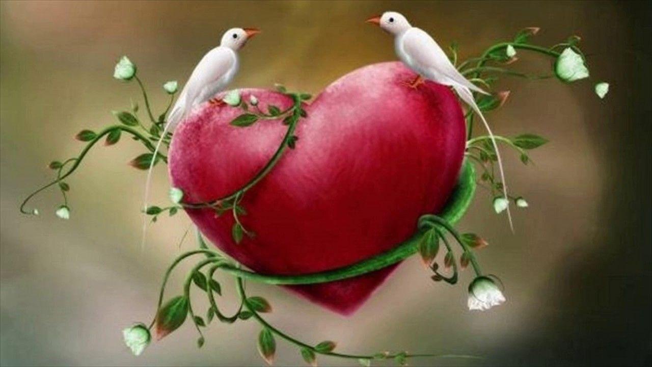 Wallpaper Love Birds