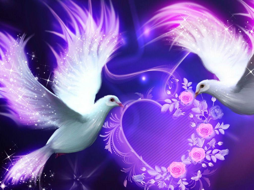 Download Beautiful Love Birds 1024 X 768 Wallpaper