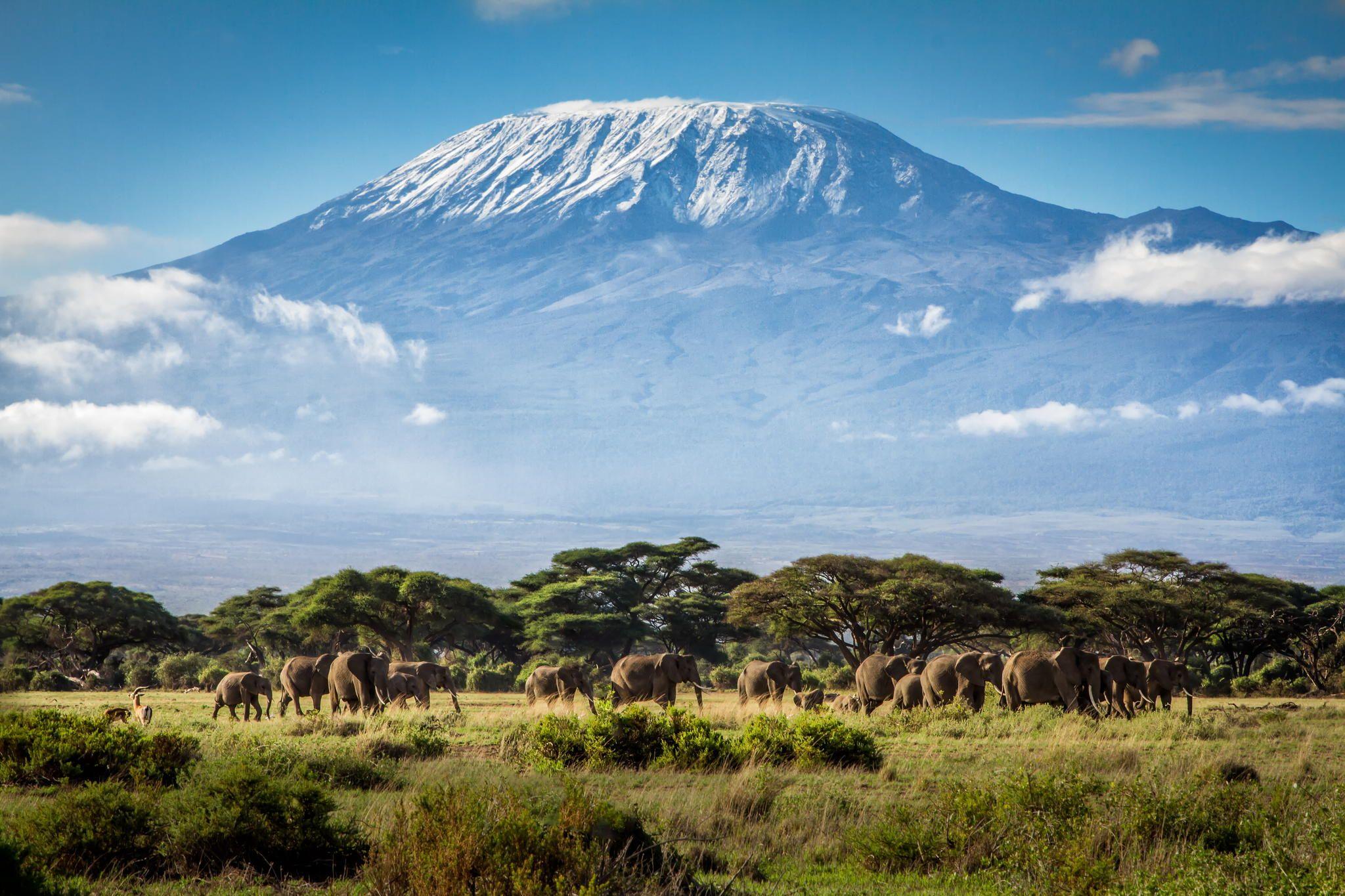 Mount Kilimanjaro HD wallpaper