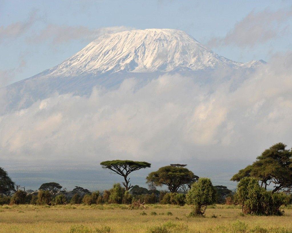 Kilimanjaro Tag wallpaper: Scene Mount Hot Nature Kilimanjaro