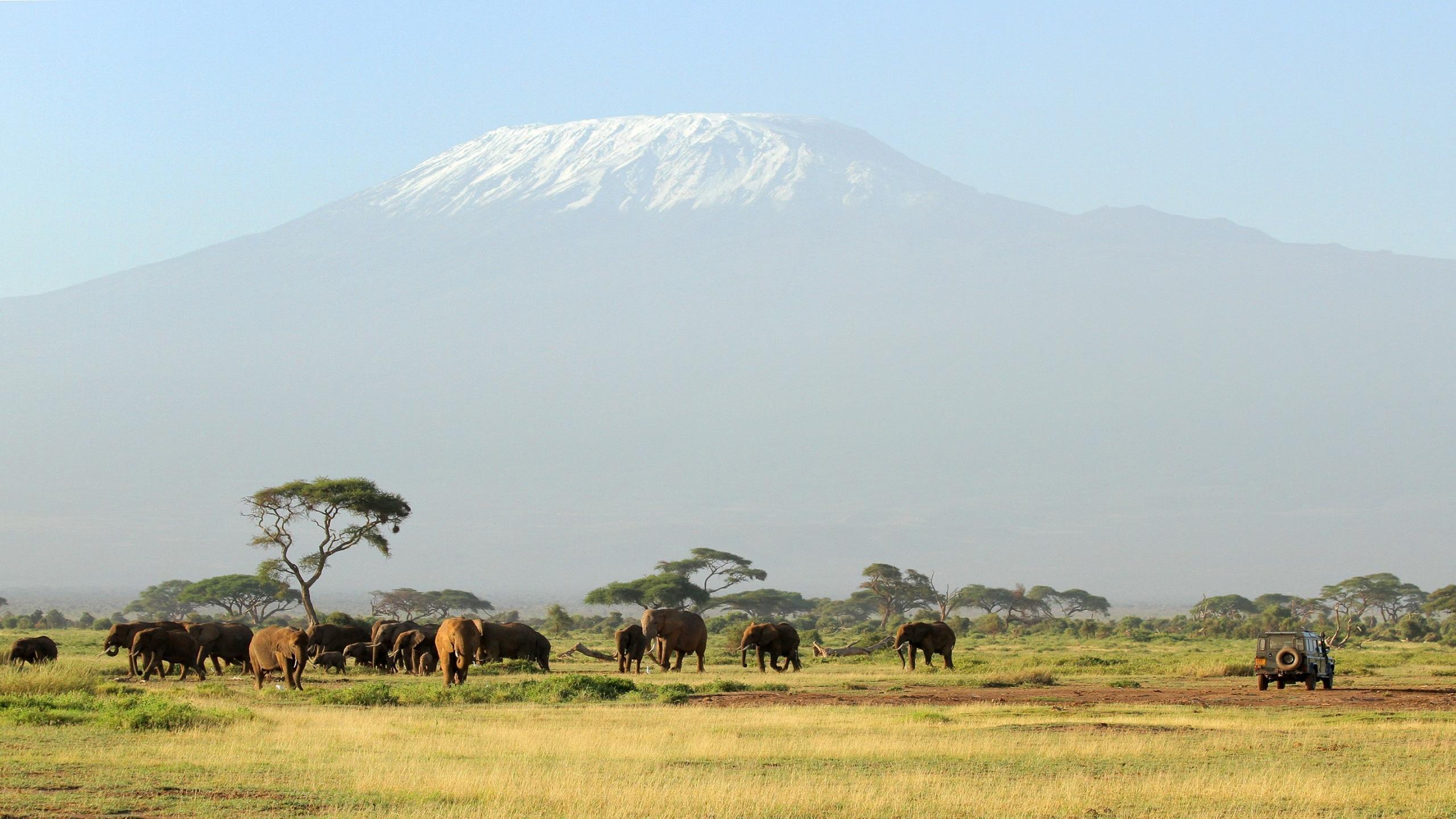 Kilimanjaro Safari HD desktop wallpaper, Widescreen, High