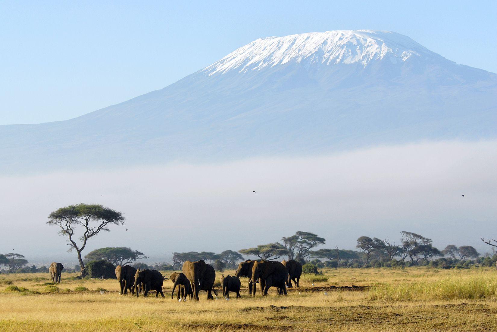 1650x1105px Kilimanjaro (1389.94 KB).06.2015