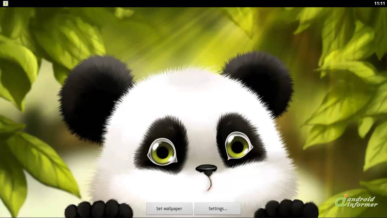 Panda Chub Live Wallpaper Free video demo
