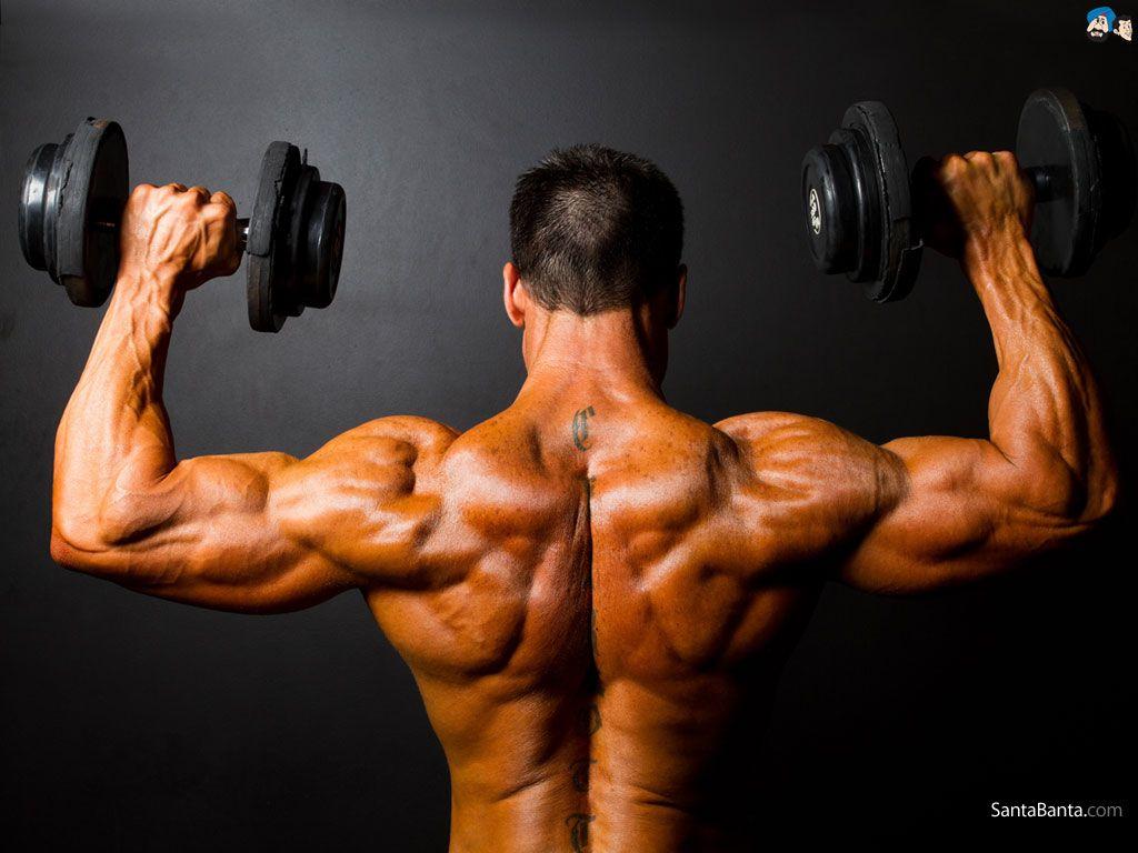 Bodybuilding Wallpaper