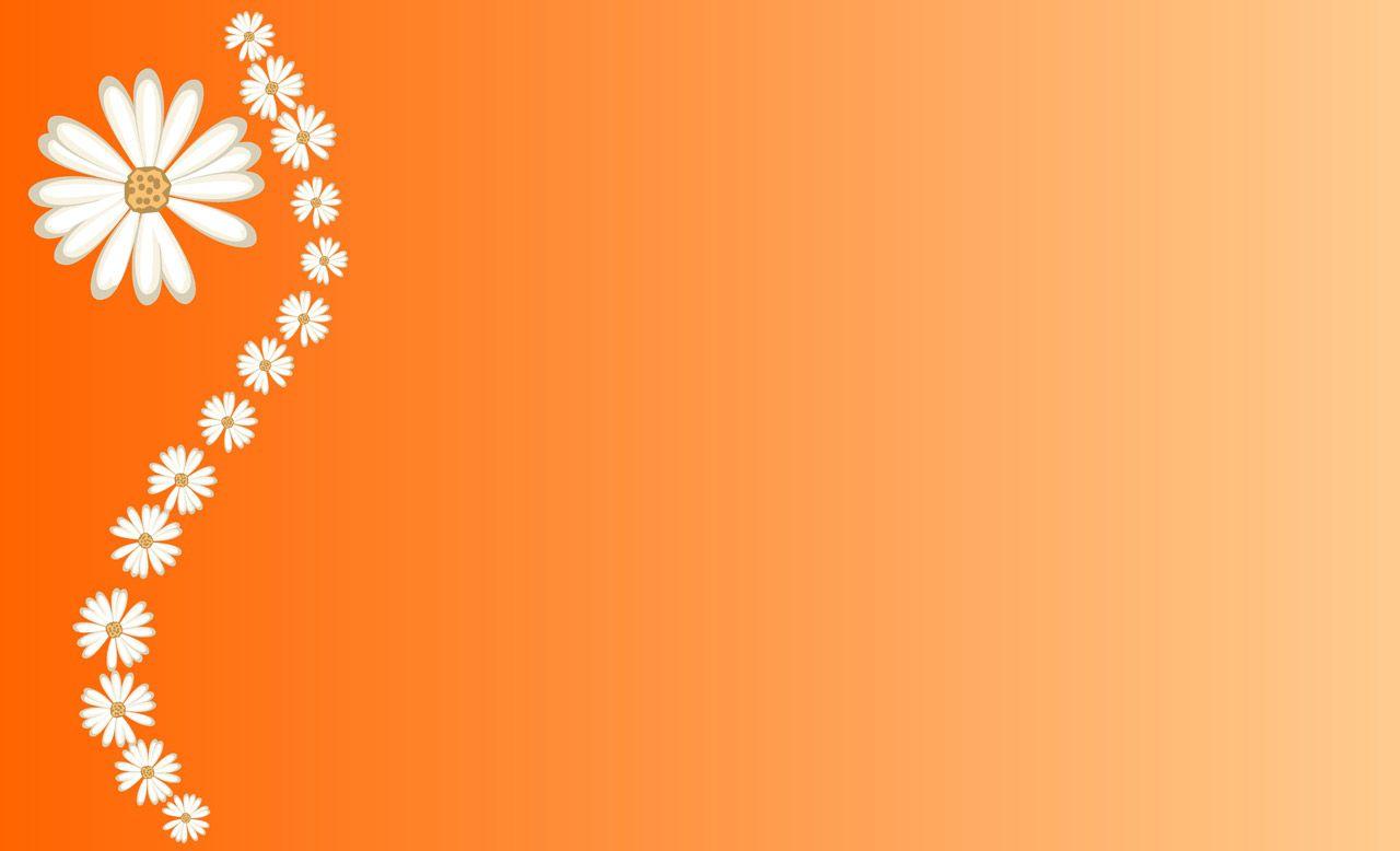 Daisies On Orange Background Free Domain Picture