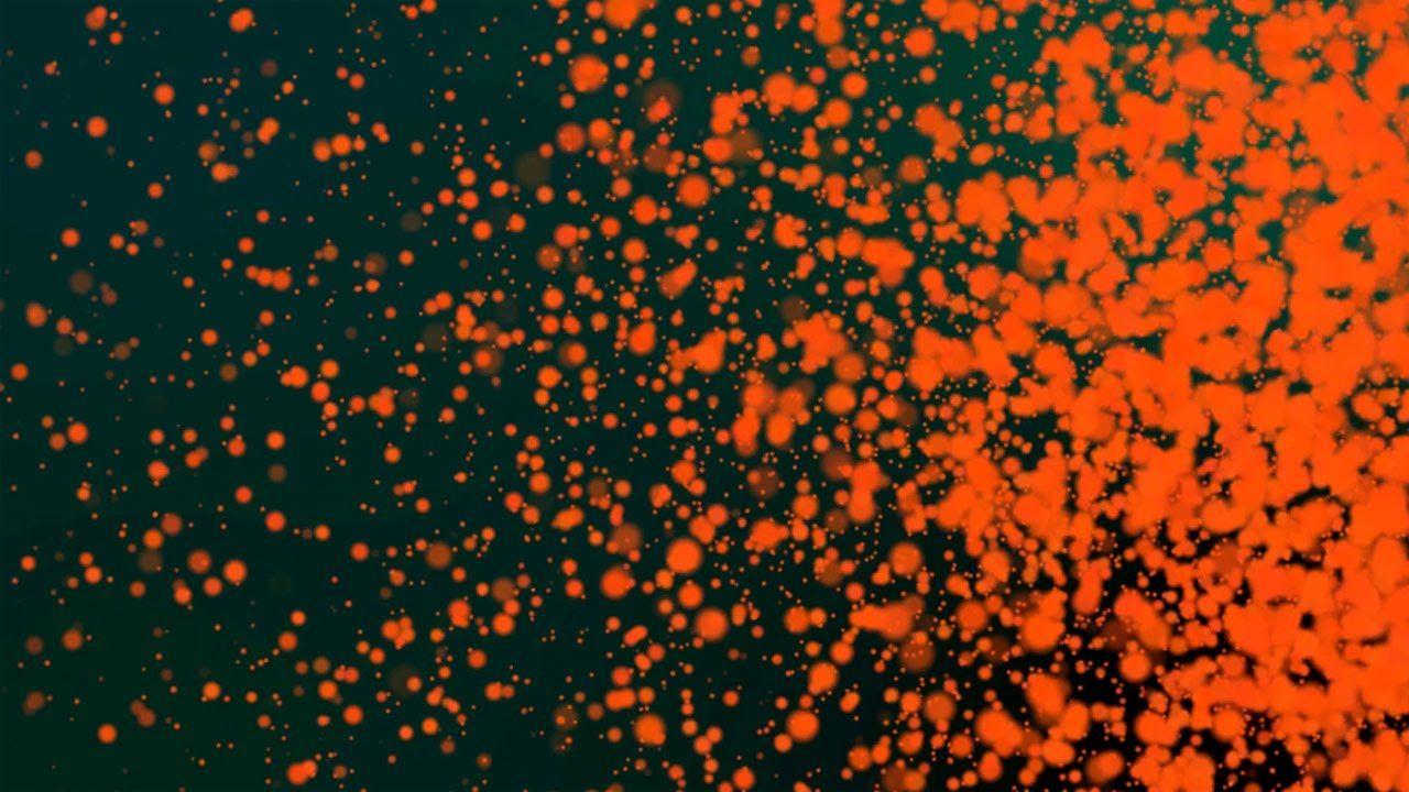 Free Orange Particle Background Loop