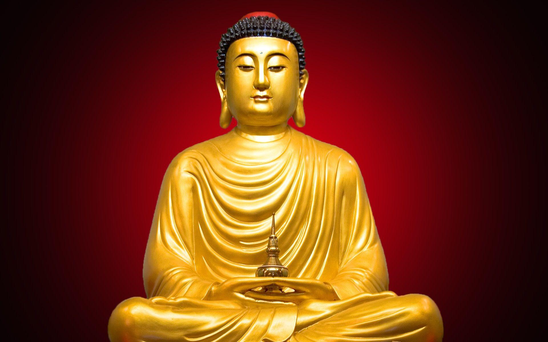 Gautama Buddha Tribute