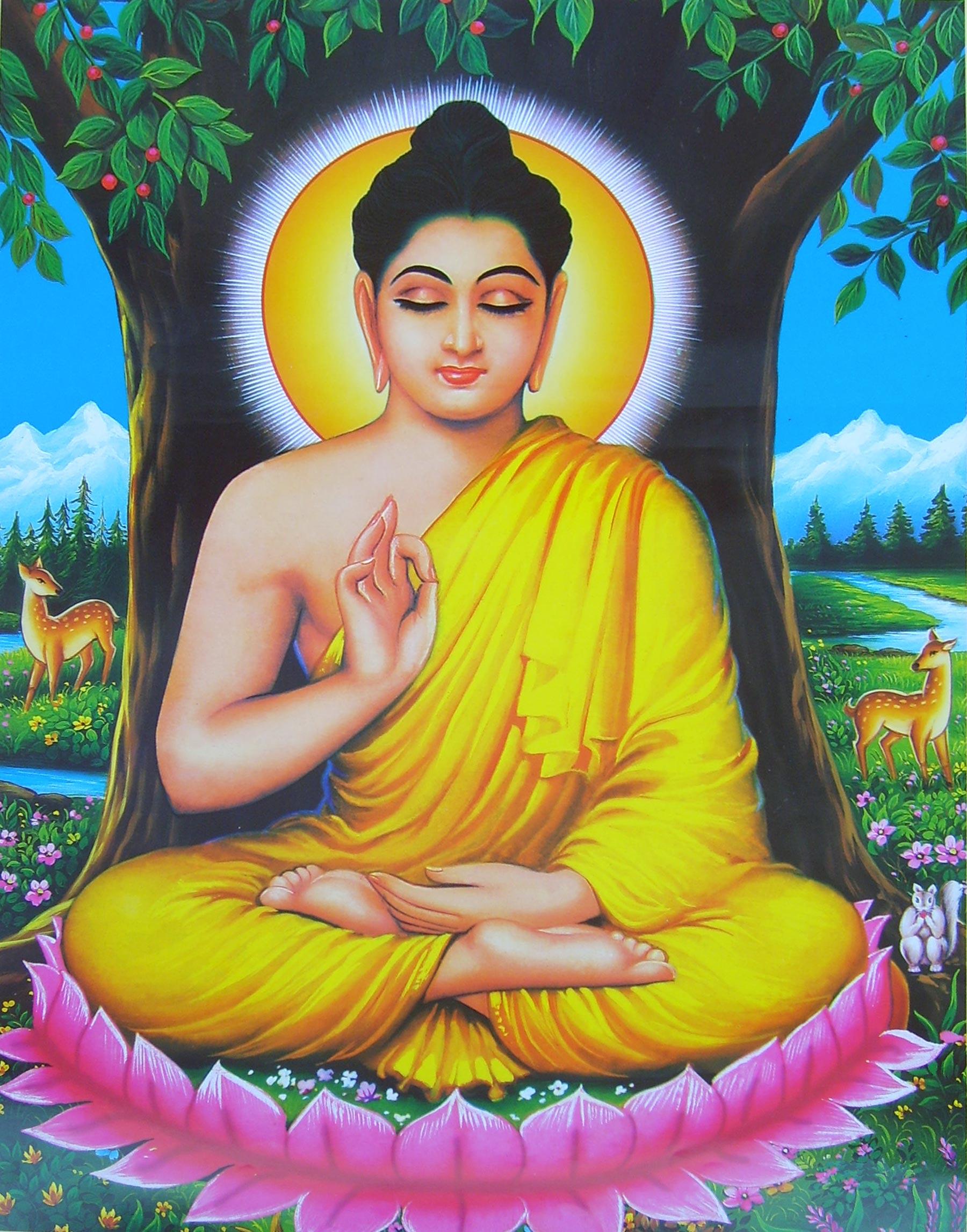 Buddha HD Wallpaper