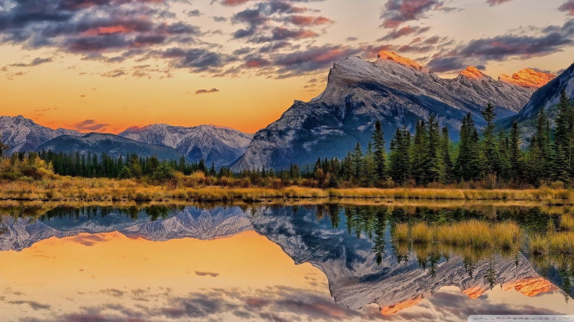 Real Nature Desktop Wallpapers Wallpaper Cave