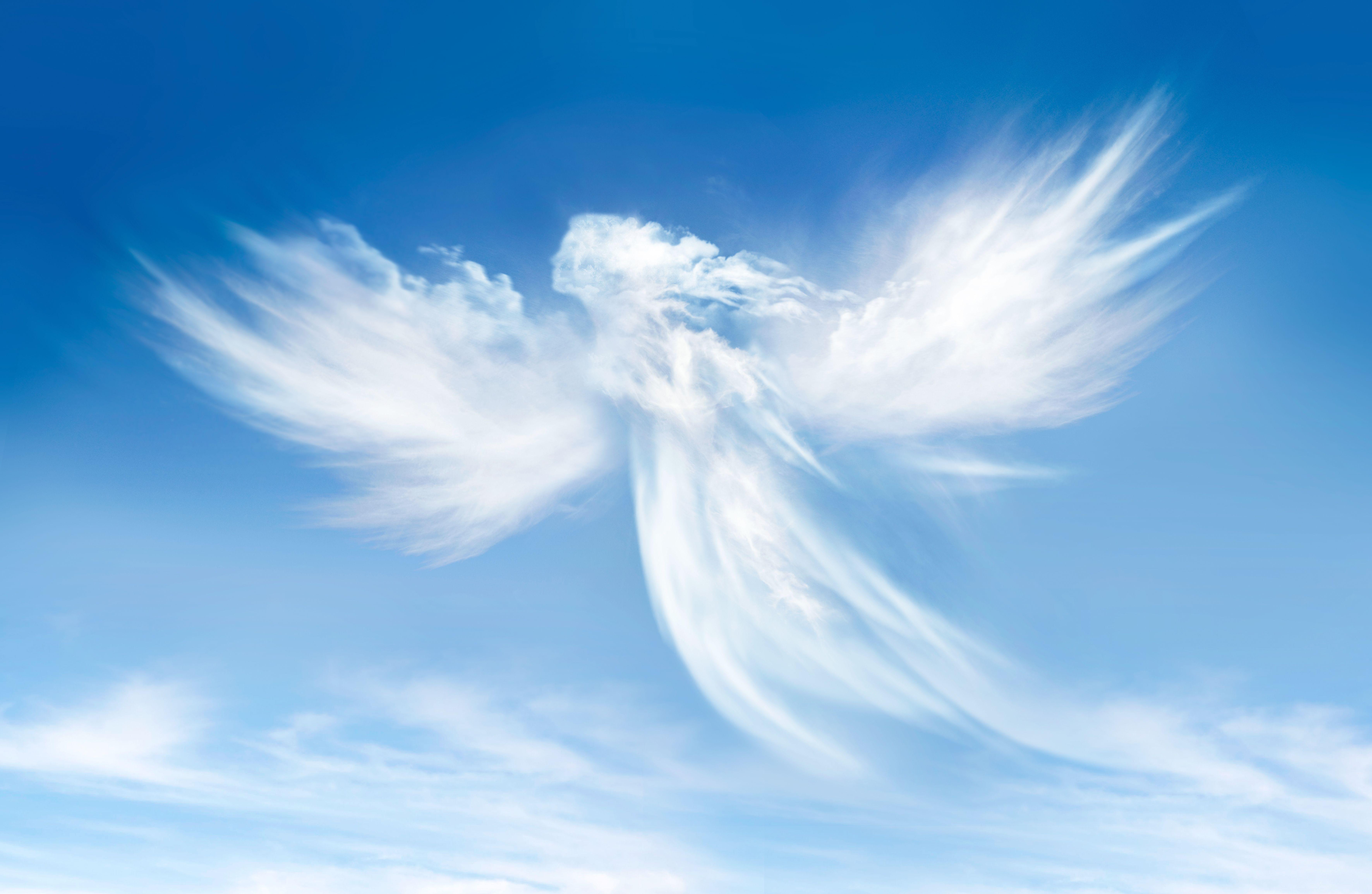 Angel Wallpaper