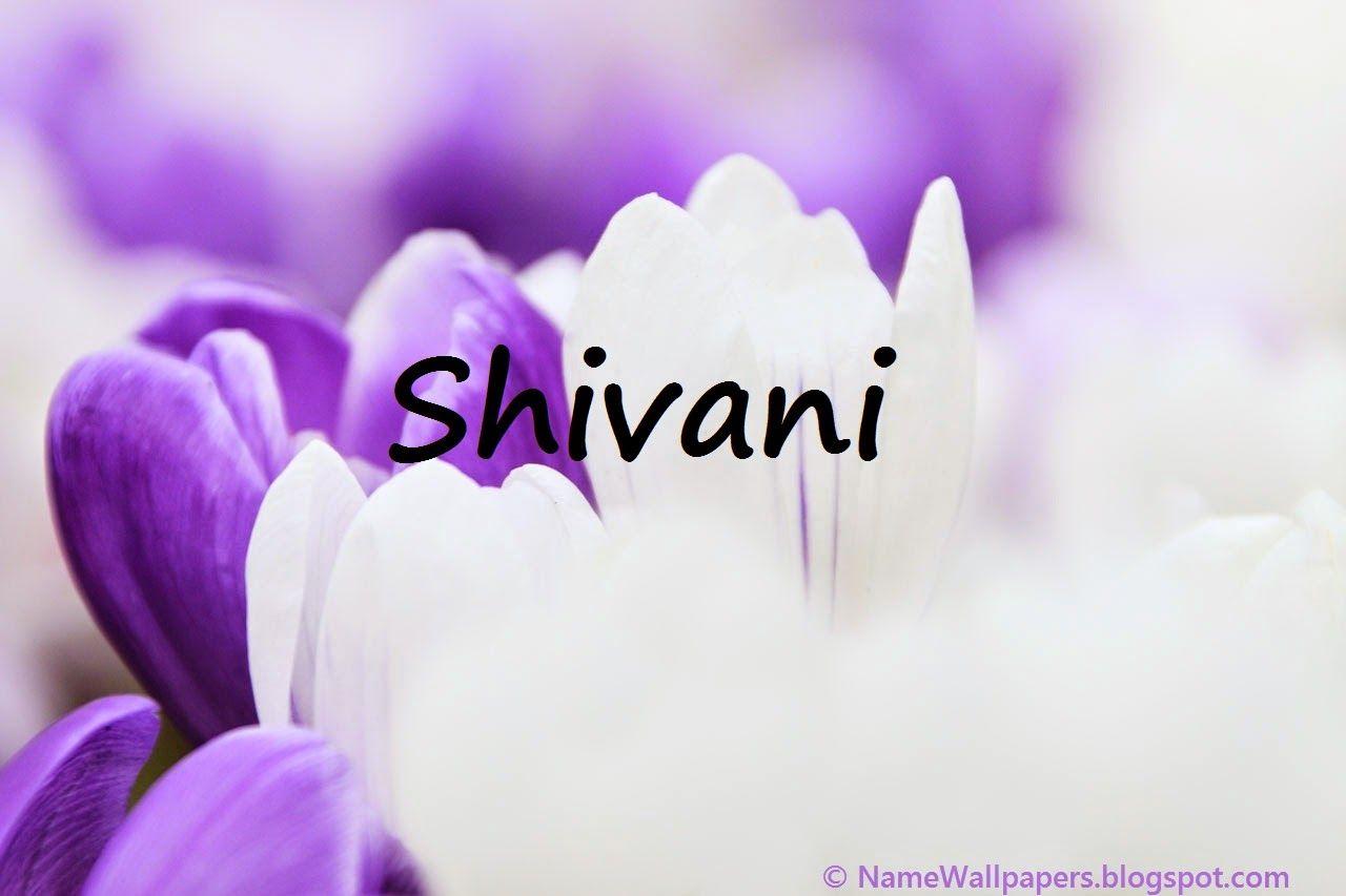 Shivani Name Wallpapers In 29D - Wallpaper Cave