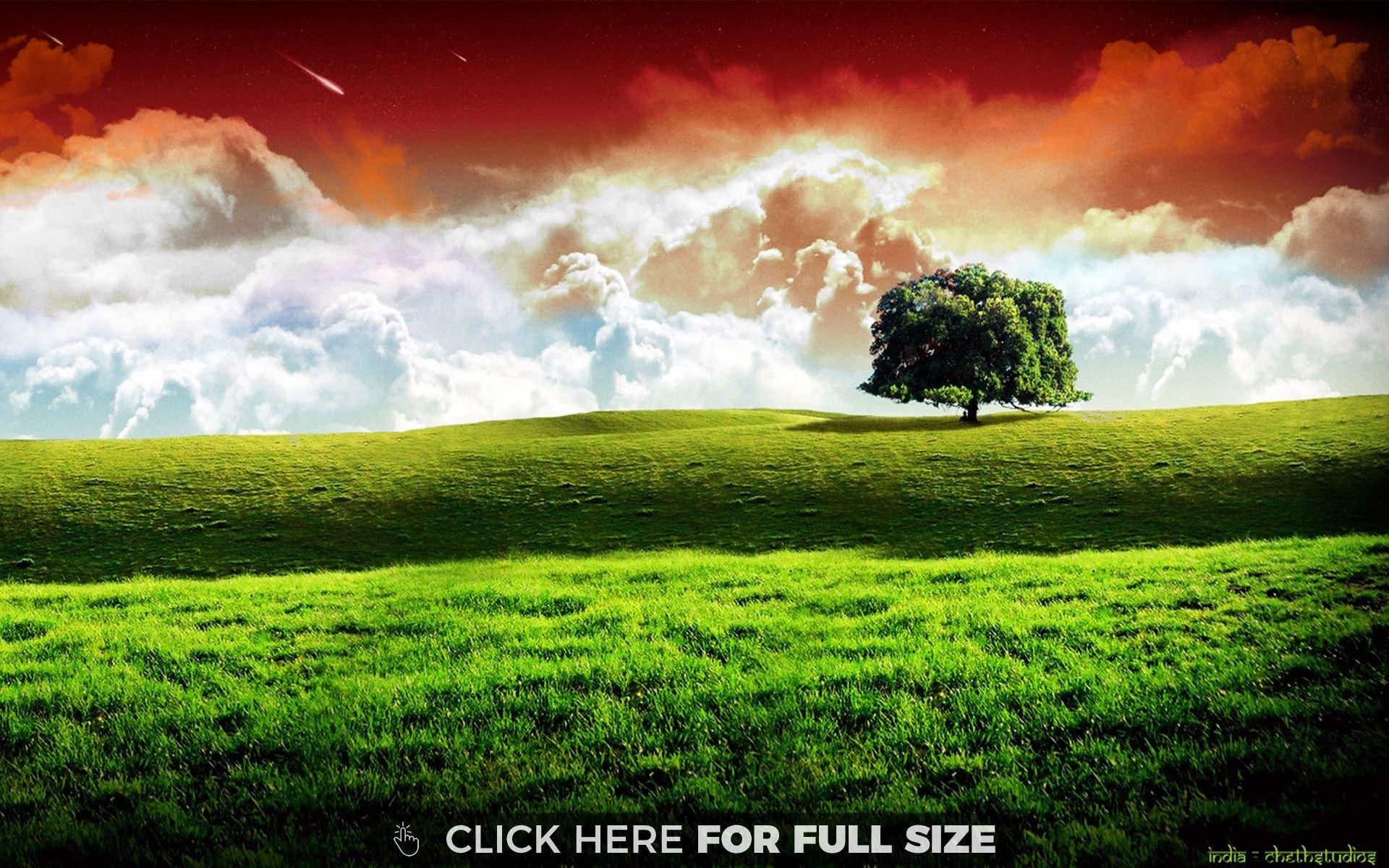 Indian Flag HD wallpaper
