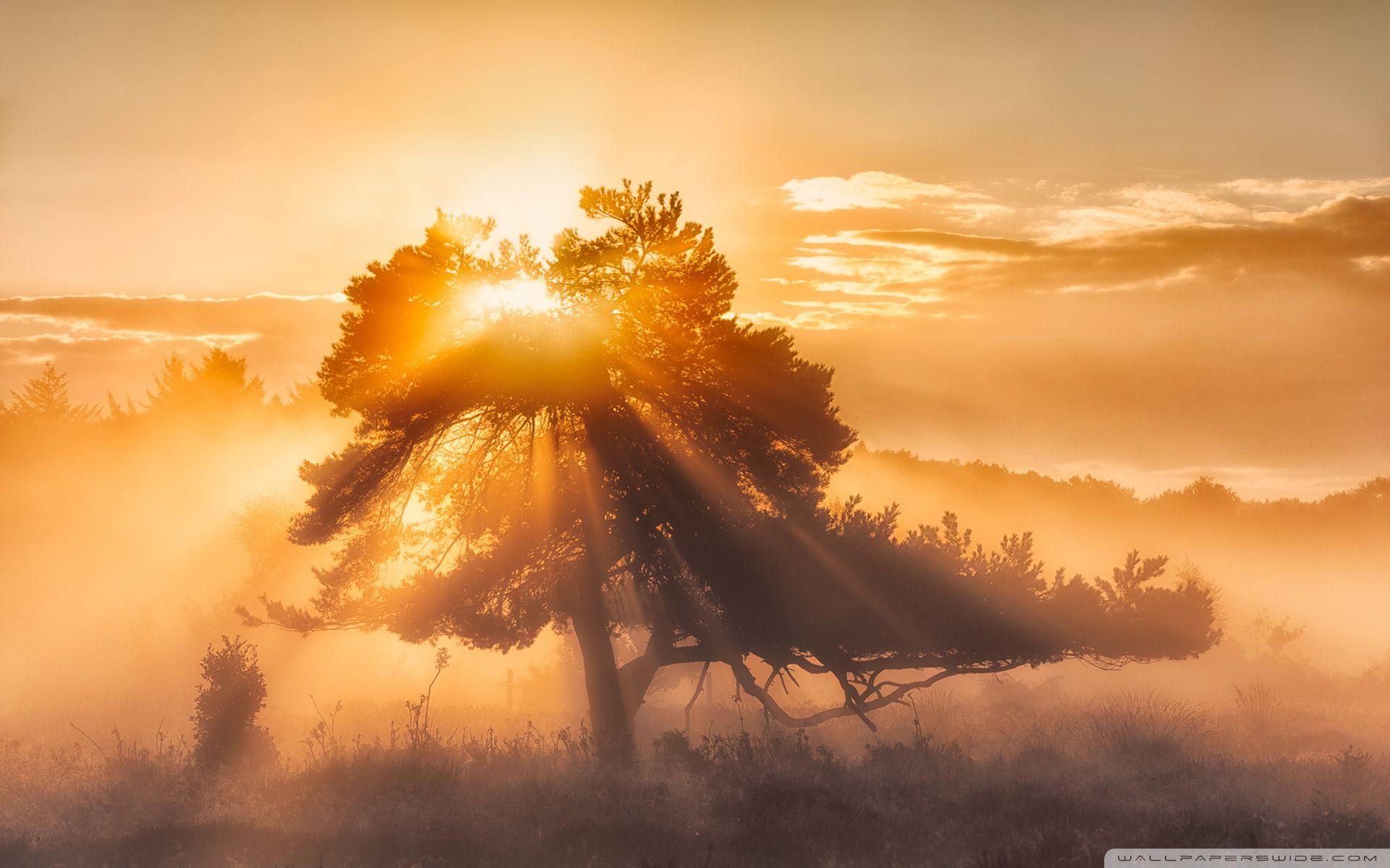 Morning Sun ❤ 4K HD Desktop Wallpaper for 4K Ultra HD TV • Tablet