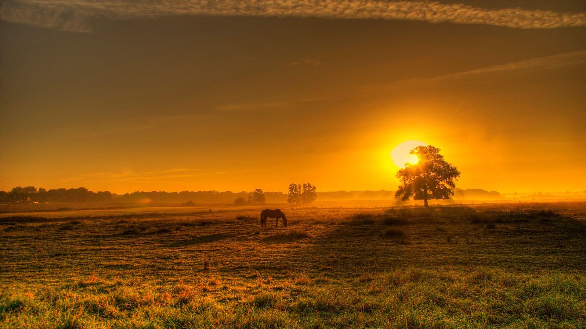 Amazing Morning Wallpaper