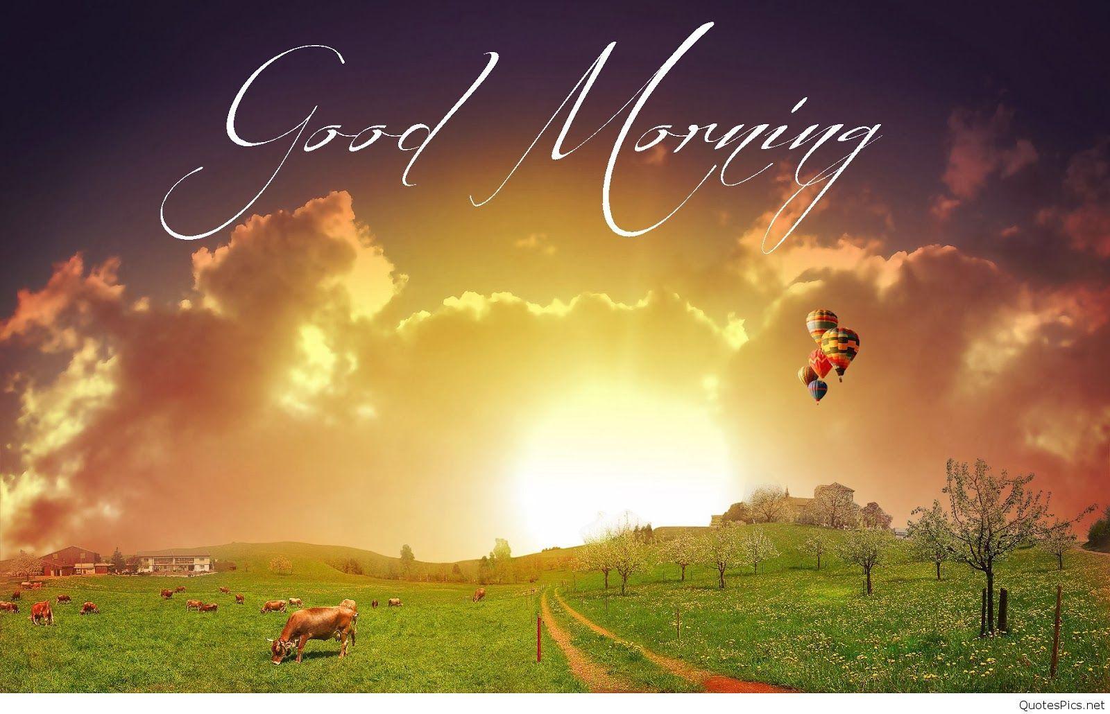 Good Morning HD Wallpaper and Image Download Free