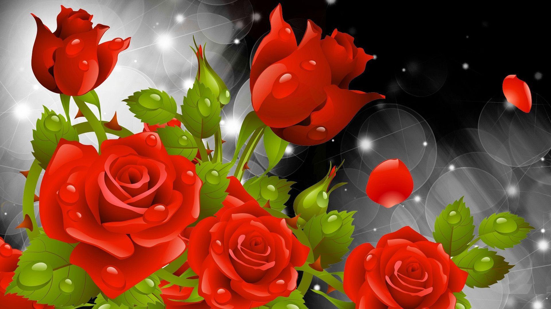 hd wallpapers of flowers of rose