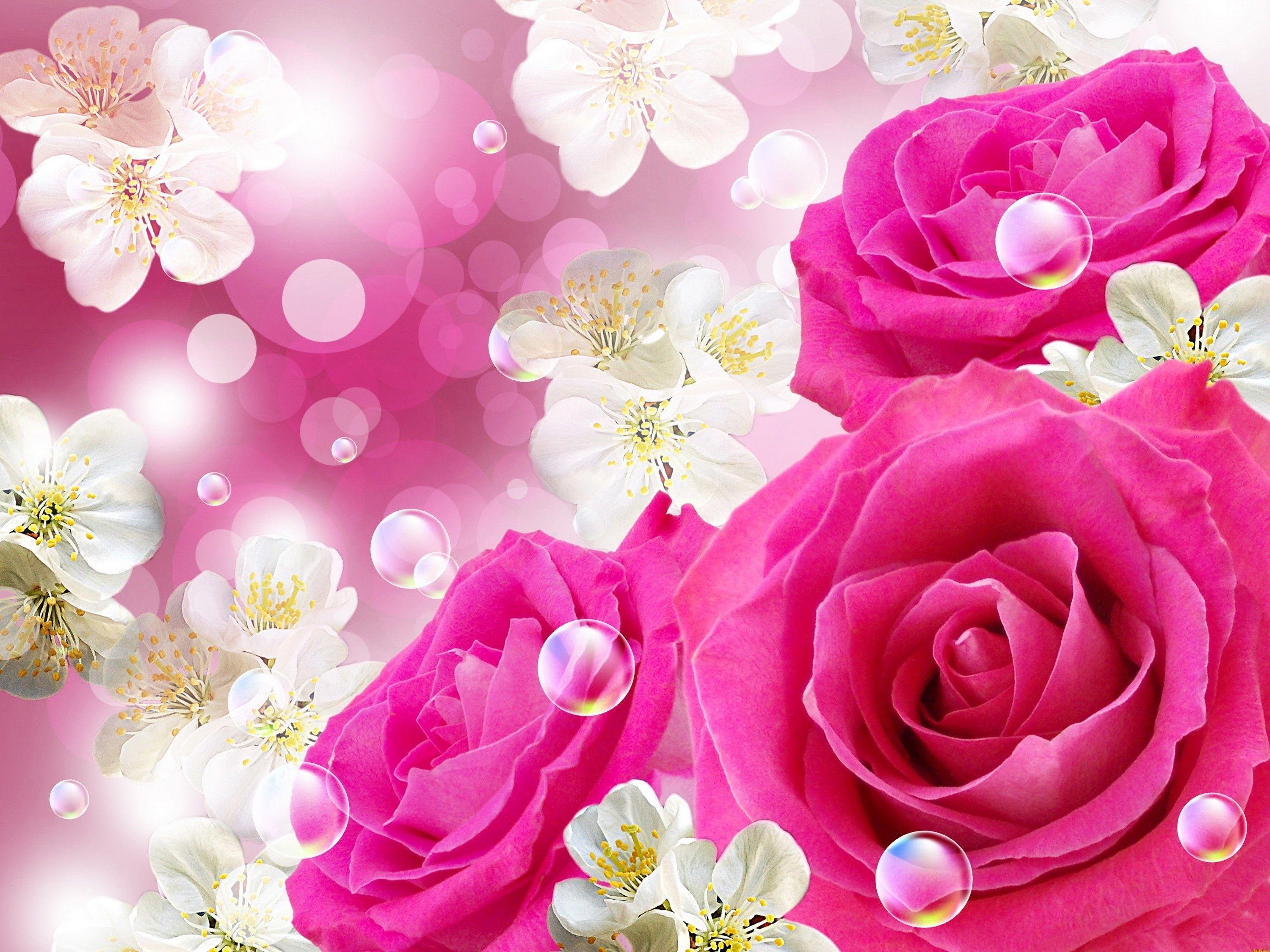 Rose flower pictures Beautiful roses Love rose flower Beautiful flowers  wallpapers AI Generated 22267871 Stock Photo at Vecteezy
