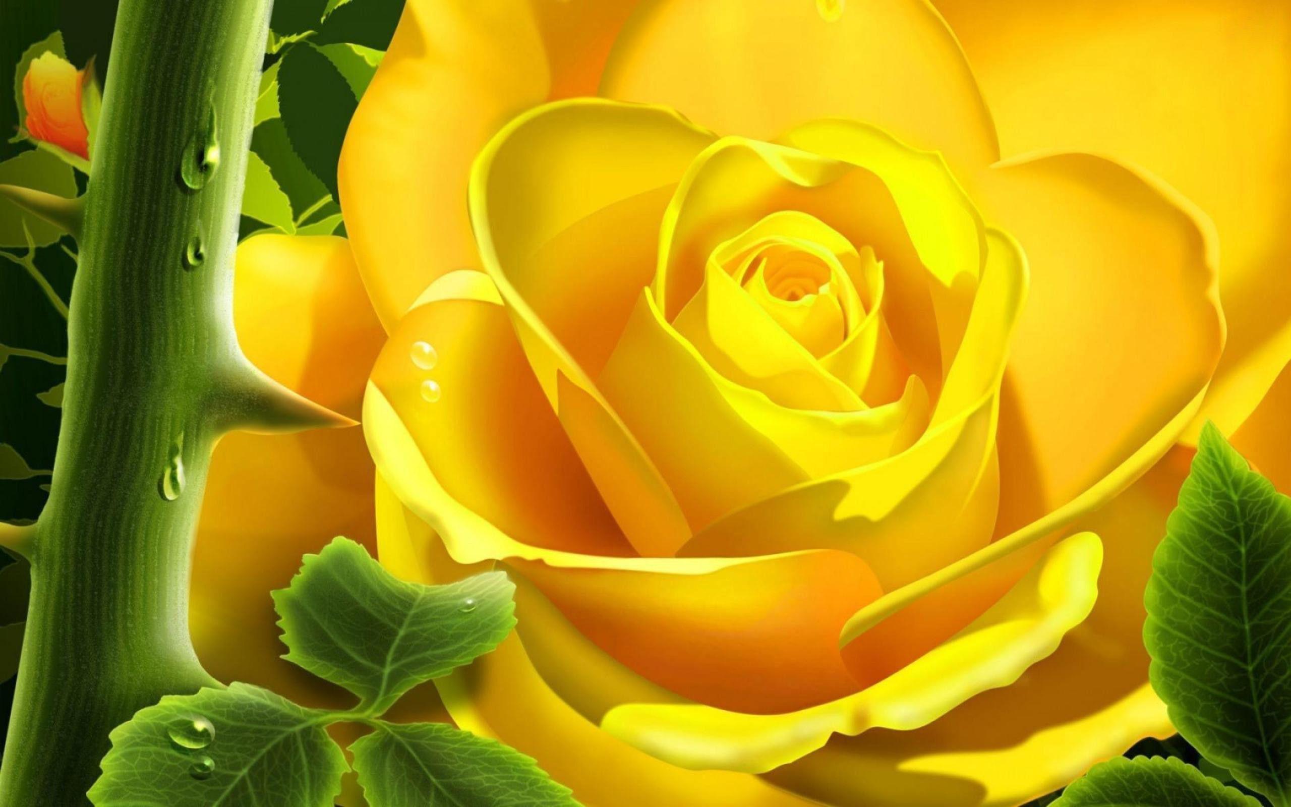 Yellow Rose Flower Natural Wallpaper HD Wallpaper