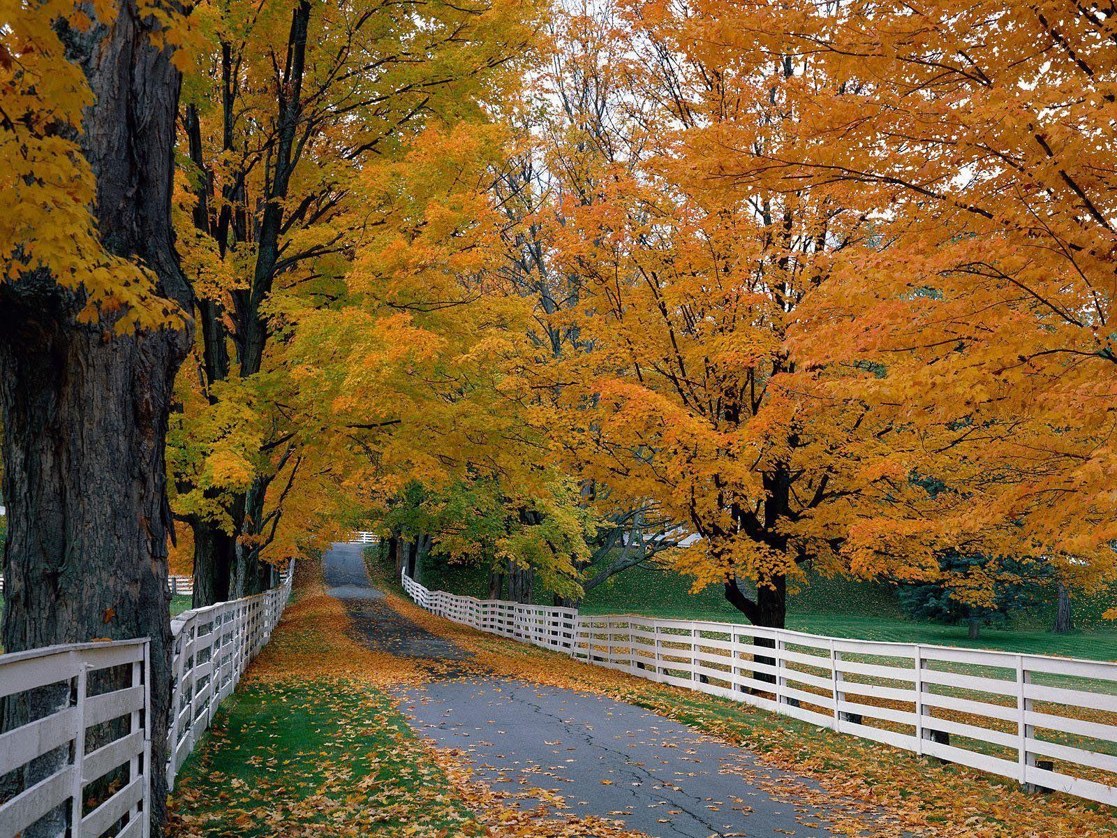 most new wallpaper most beautiful nature wallpaper in the world 21