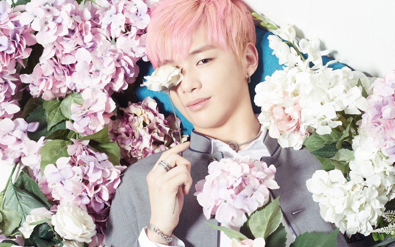 kang daniel • 13′ laptop wallpaper please