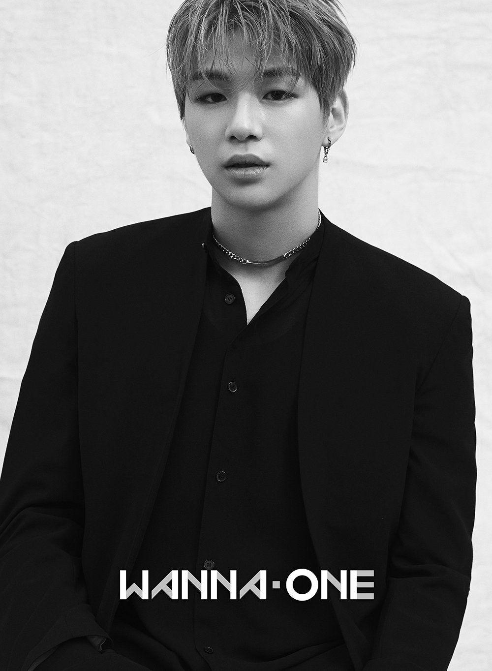 Кан даниэль. Wanna one Kang Daniel. Даниэль кпоп. Кан Даниэль 2023.