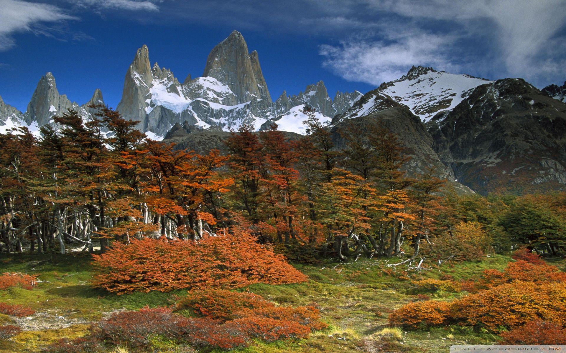 Fitzroy And Beech Trees In Autumn Los Glaciares National Park