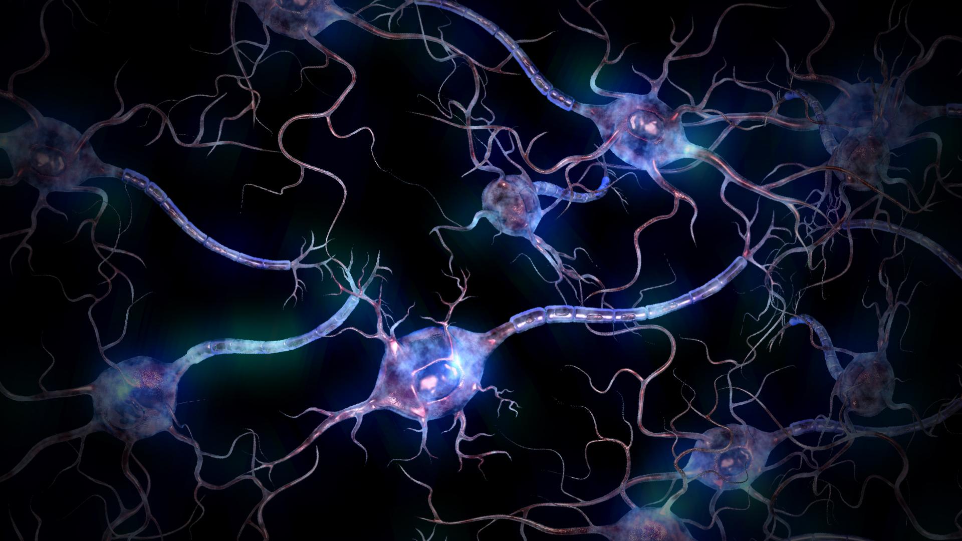 Download Neurons wallpapers for mobile phone free Neurons HD pictures