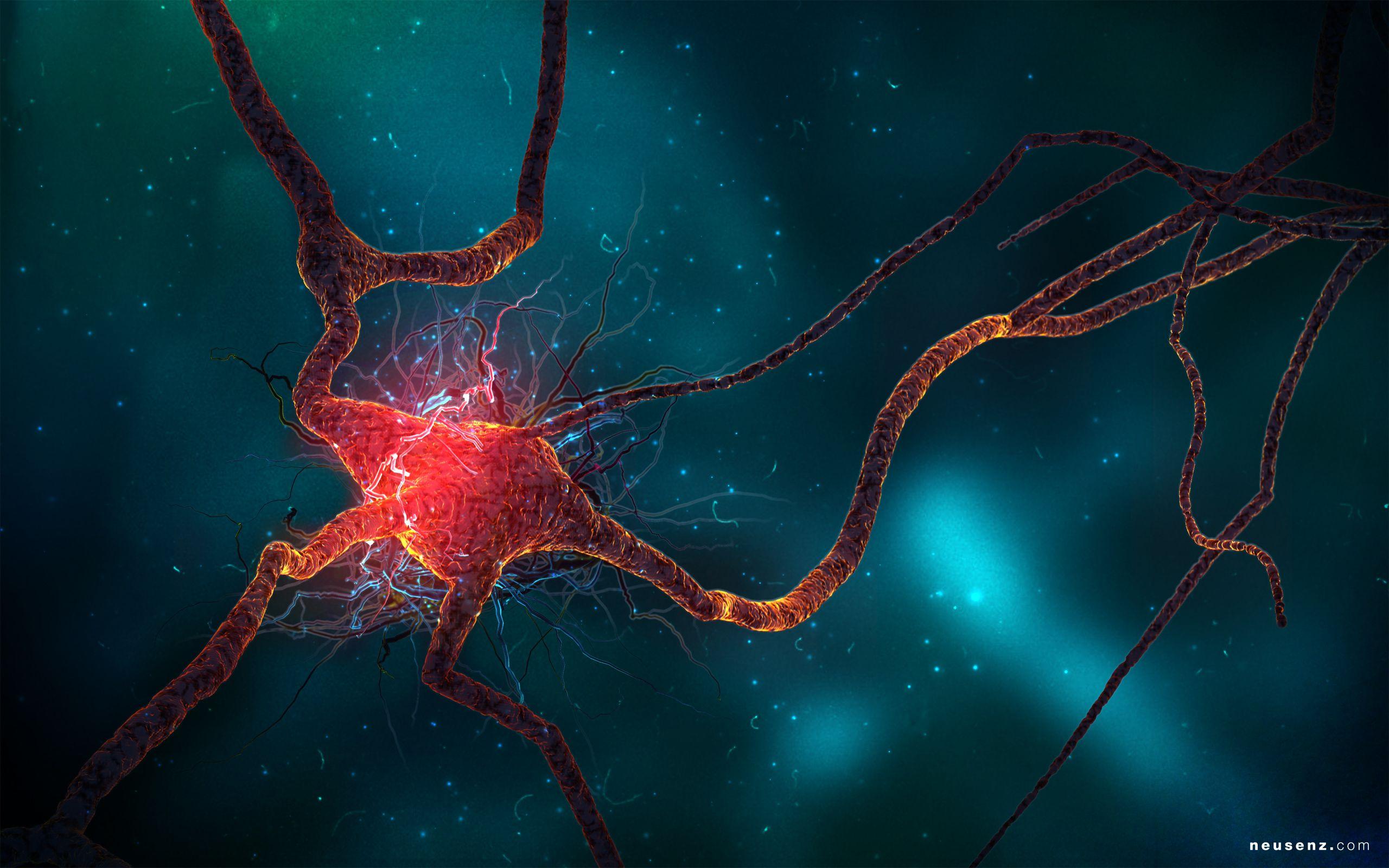 Neuron Cell Wallpaper