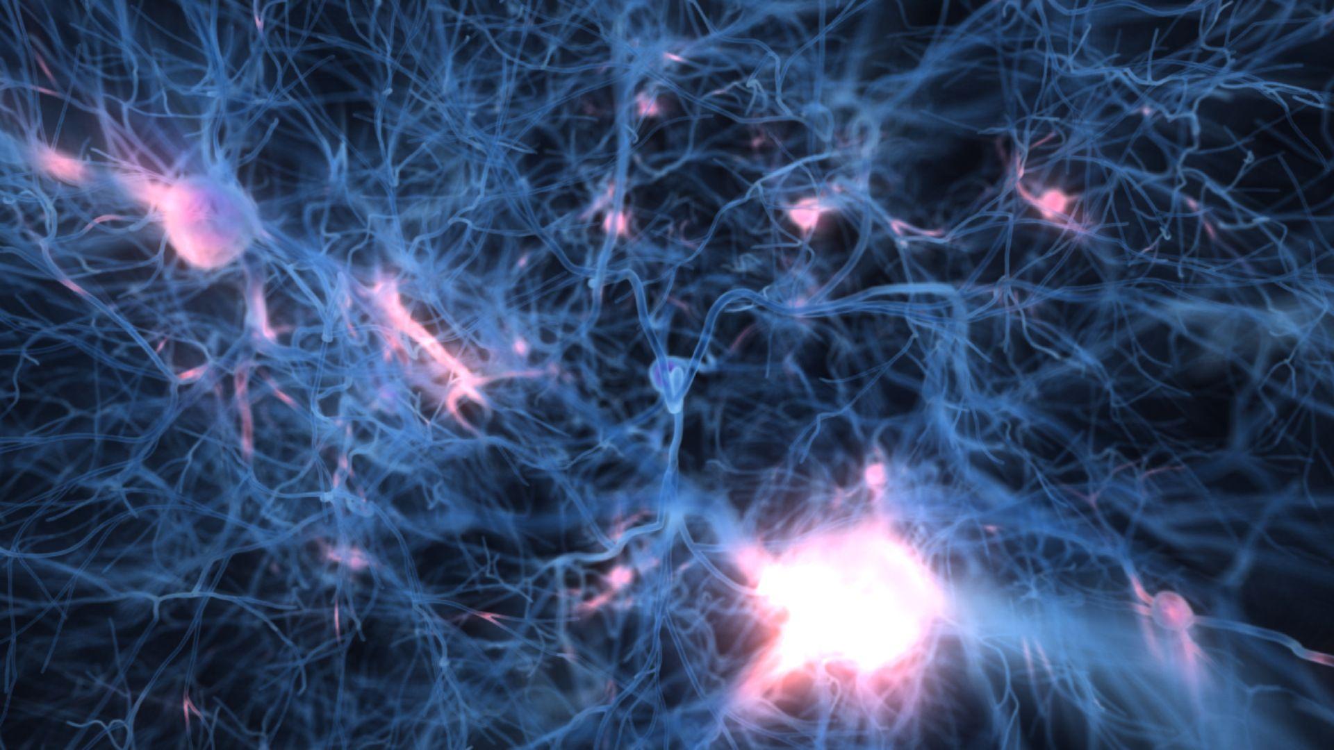 Включи галактический мозг. Клетки мозга. Нейронные связи. Нейронные нити. Клетки головного мозга.