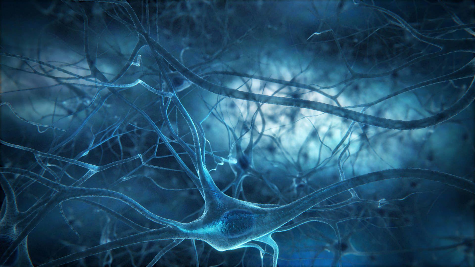 Brain Neuron Wallpaper