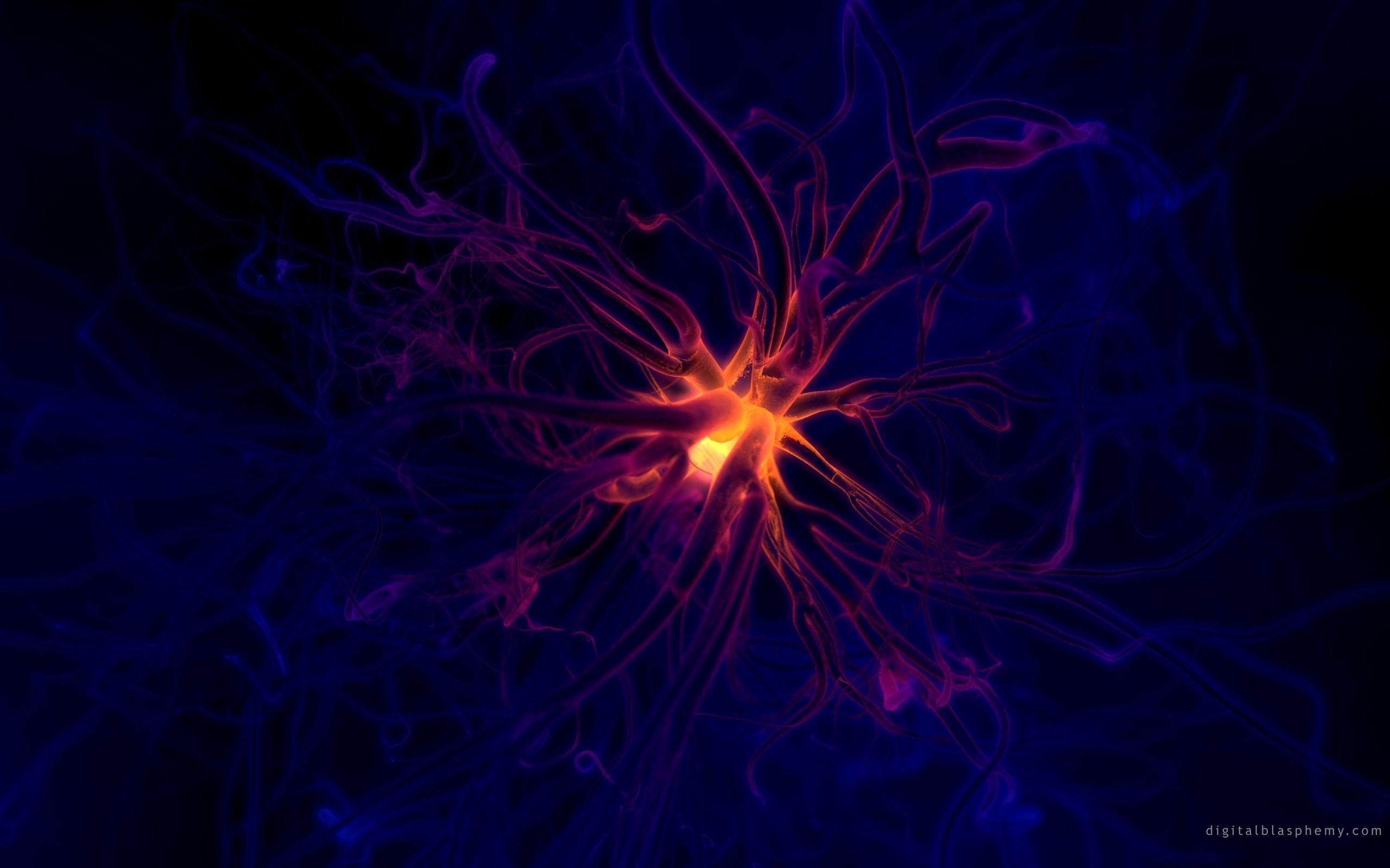 Neuron. Digital Blasphemy. 2560 x 1600. 589KB. Digital