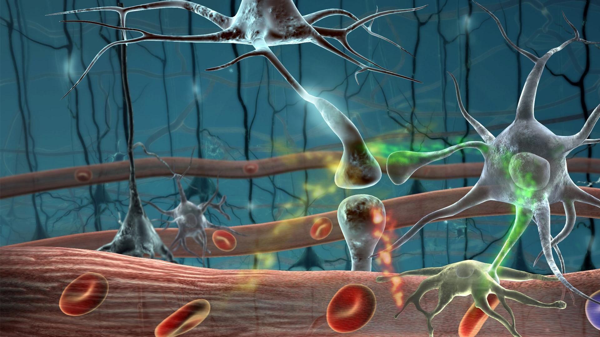 Cgi 3D cells neurons wallpaper