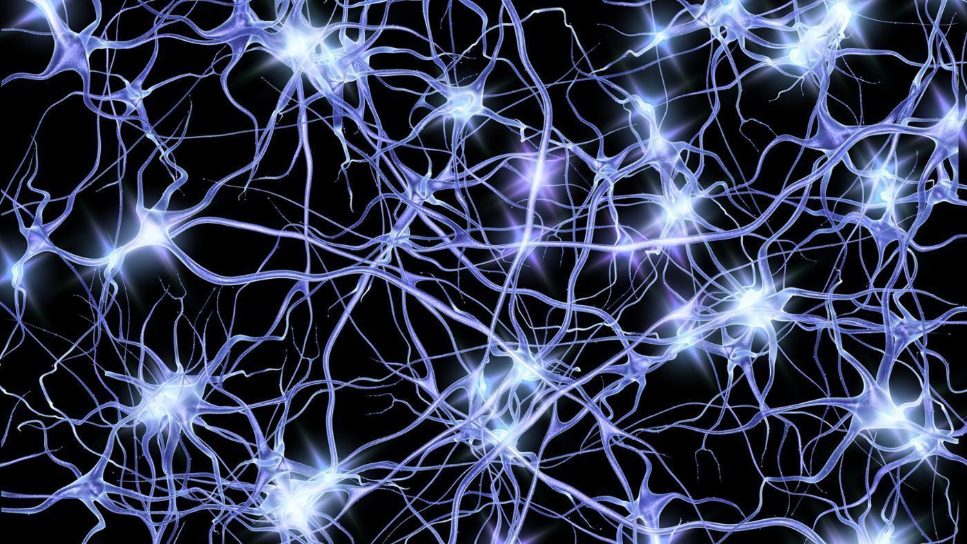 Neuron, Neurons HD wallpaper | Pxfuel
