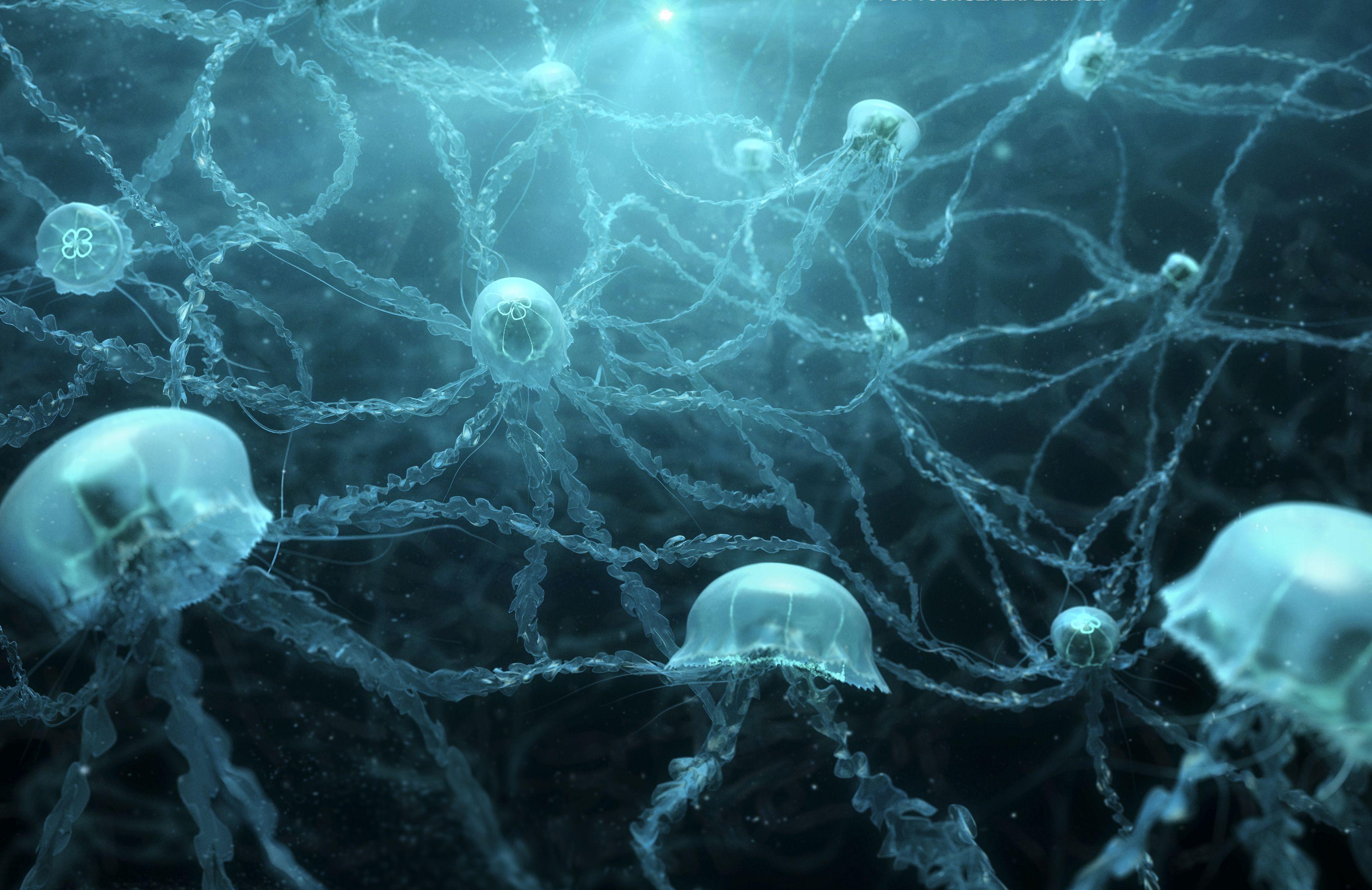 Wallpaper Jellyfishes, Underwater, Neurons, 4K, Animals