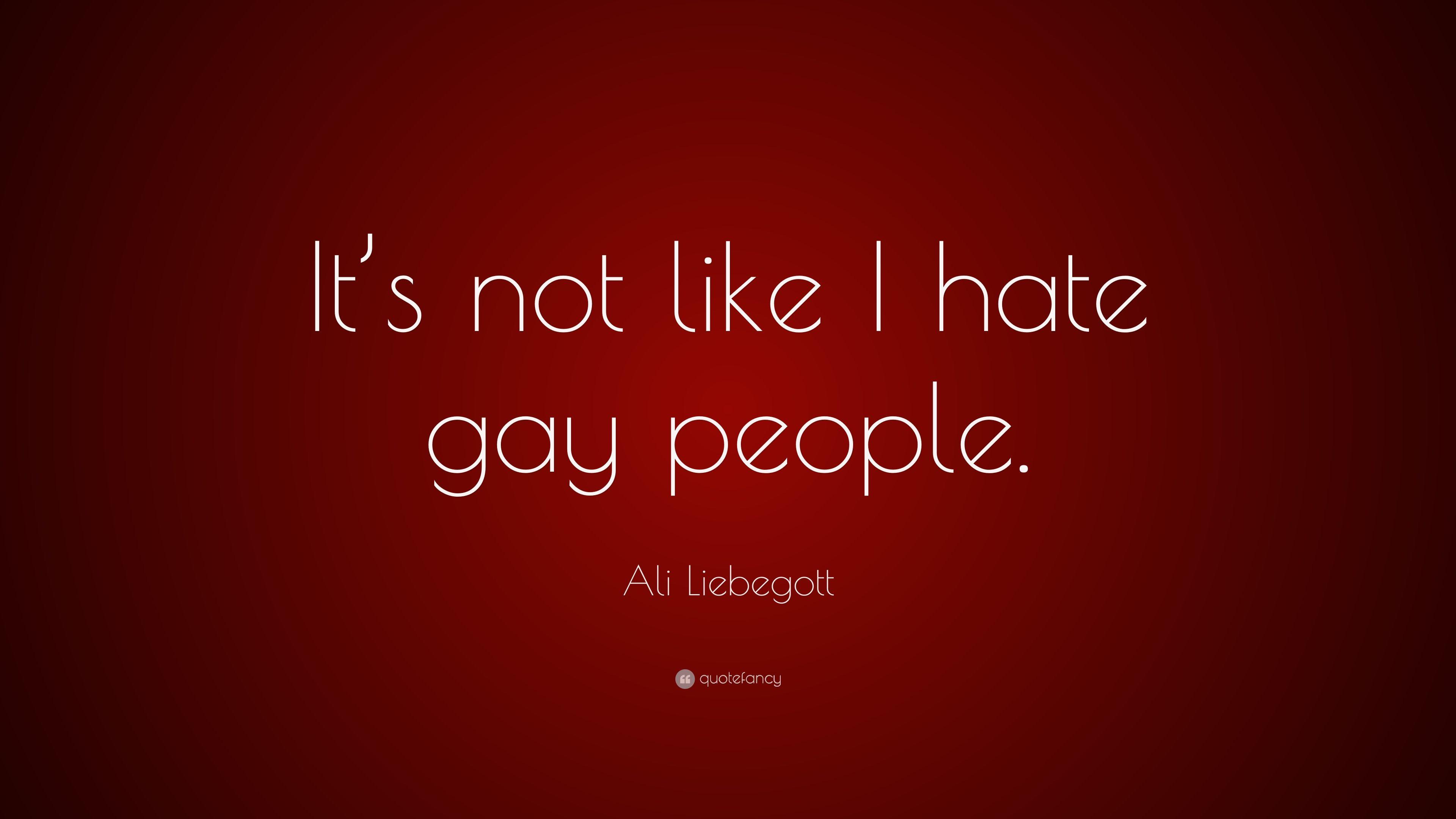 Ali Liebegott Quote: “It's not like I hate gay people.” 7