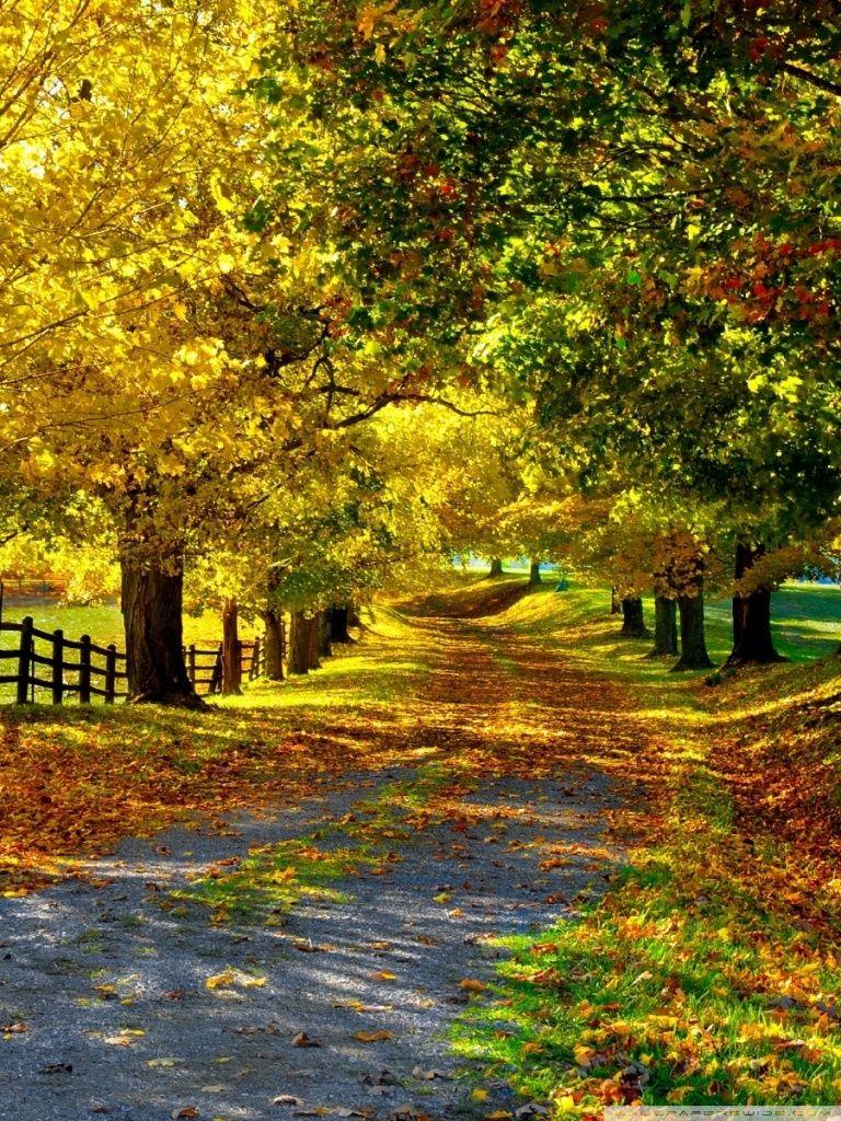 The Most Beautiful Autumn Ultra HD Desktop Backgrounds Wallpapers