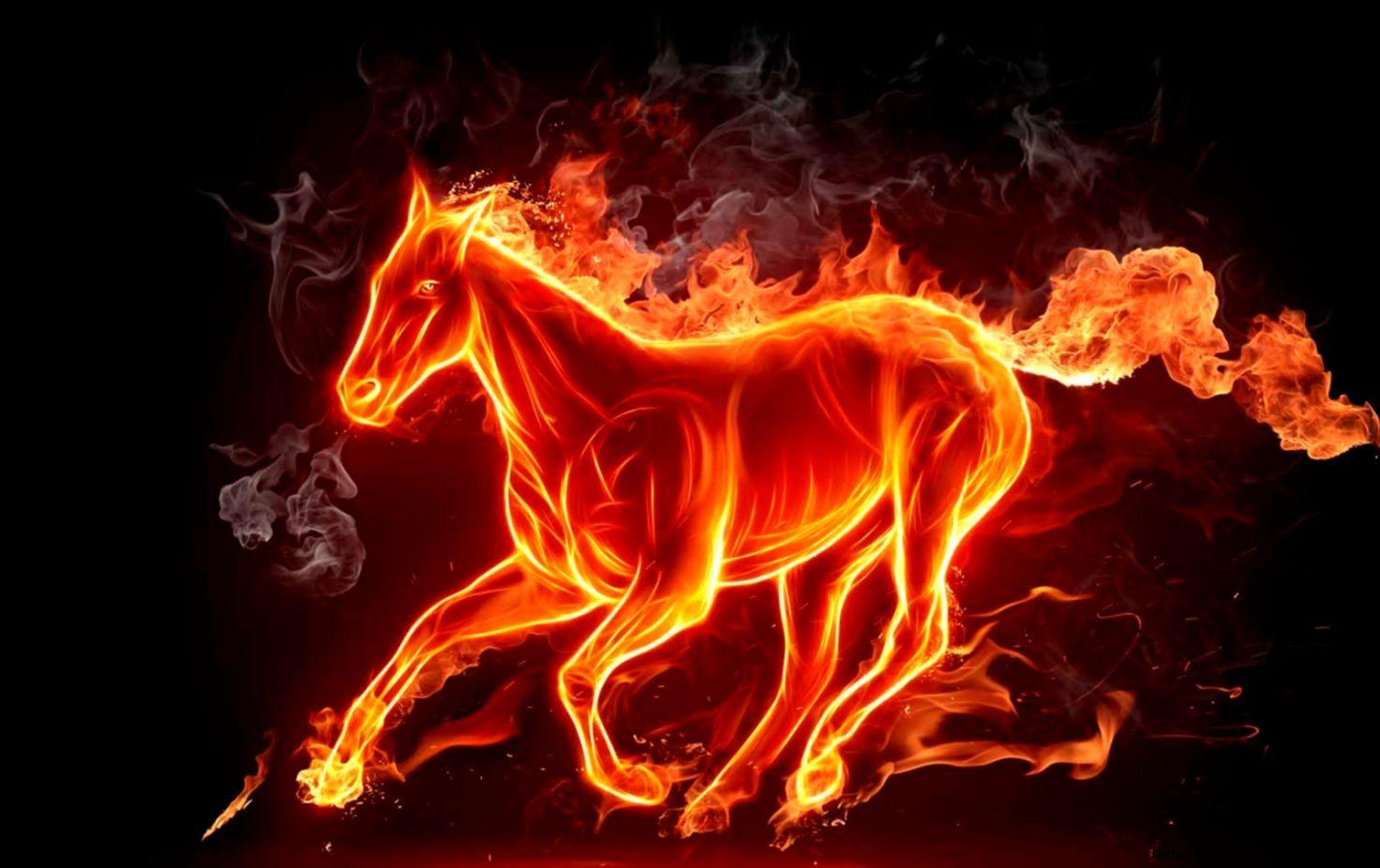 Fire Horse Cool Best HD Wallpaper for Android