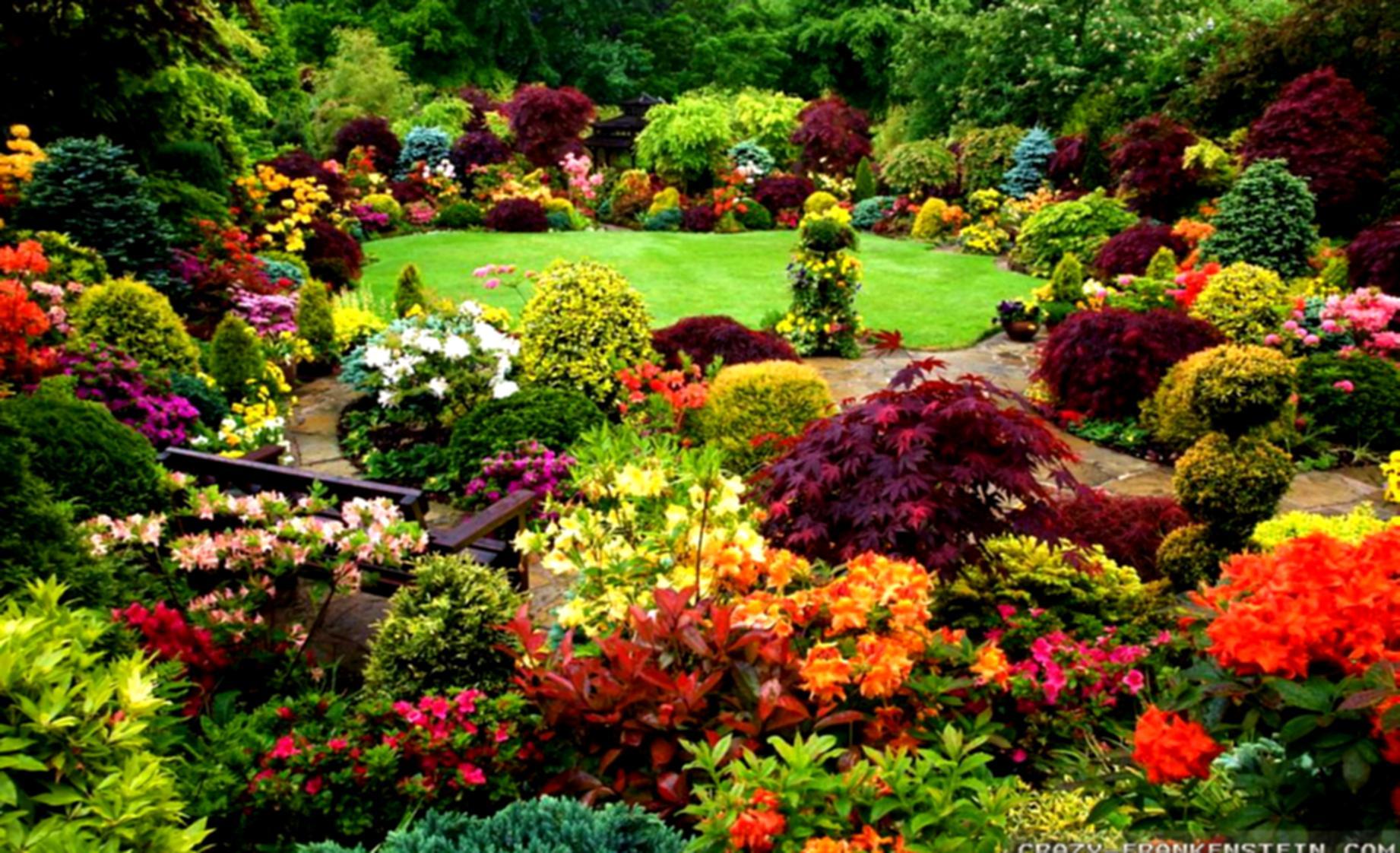 Wallpaper Amazing Beautiful Gardens With Colorful Flowers And Trees