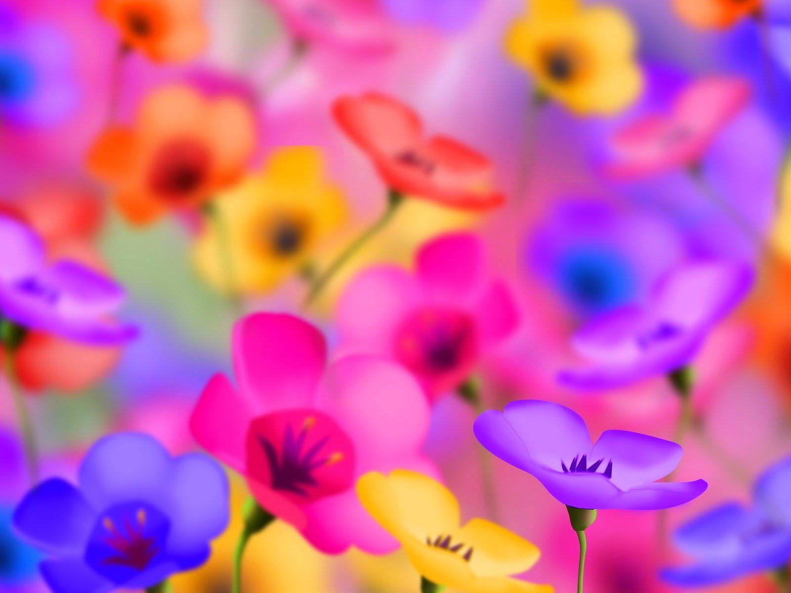 Android Vally: 15 Most Beautiful HD Flower Walpaper