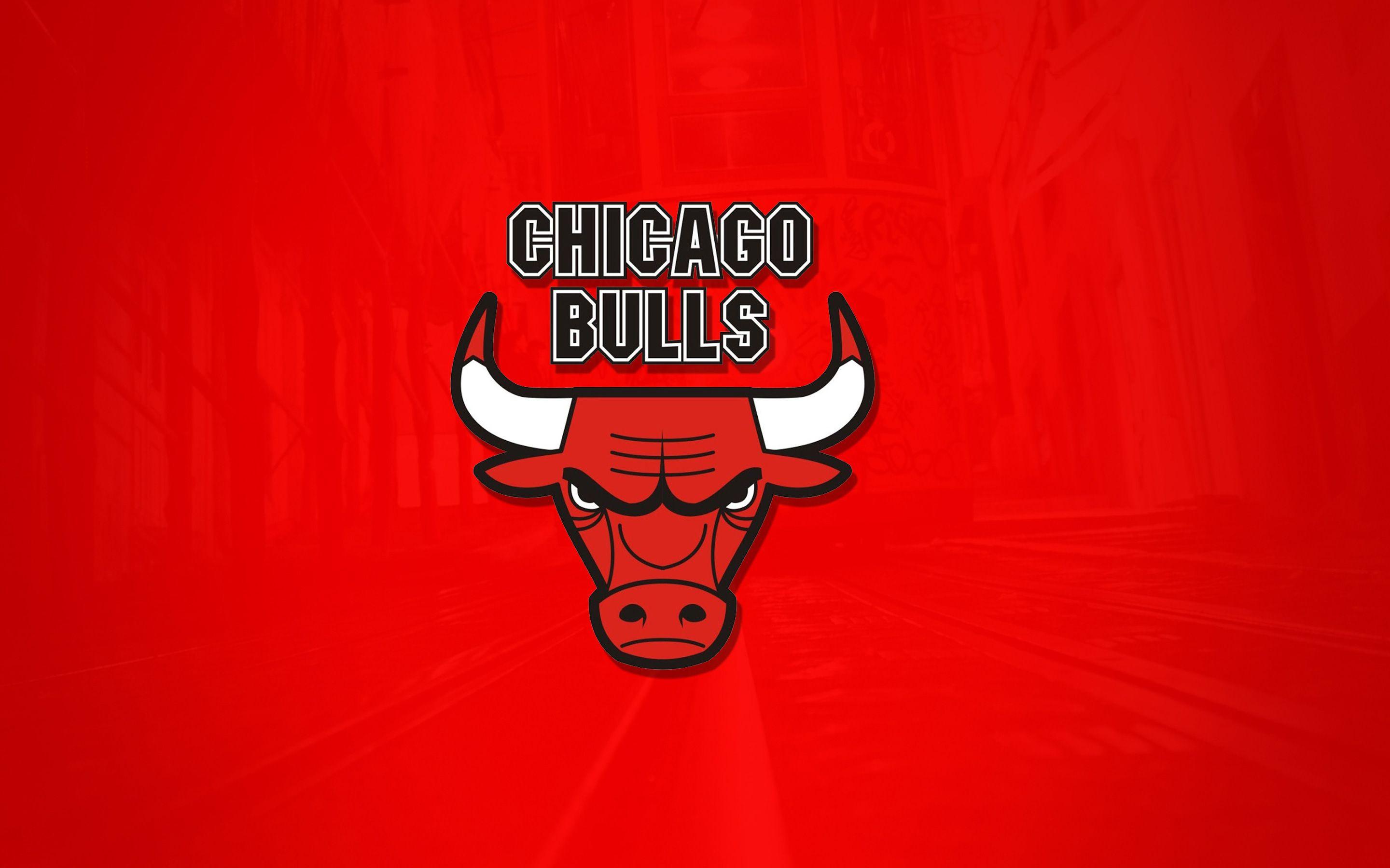The Chicago Bulls Wallpaper