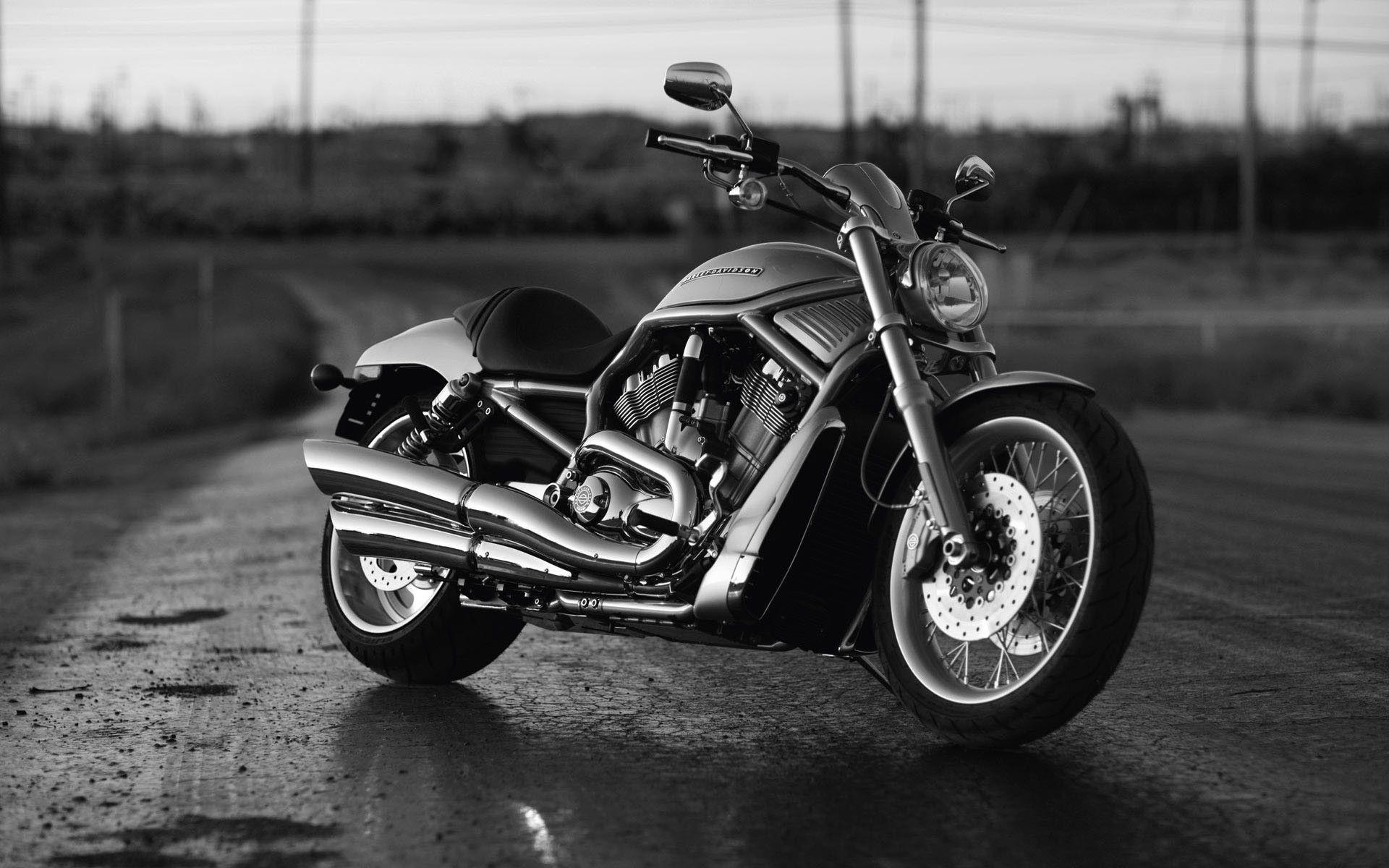 Harley Davidson Bikes Wallpaper